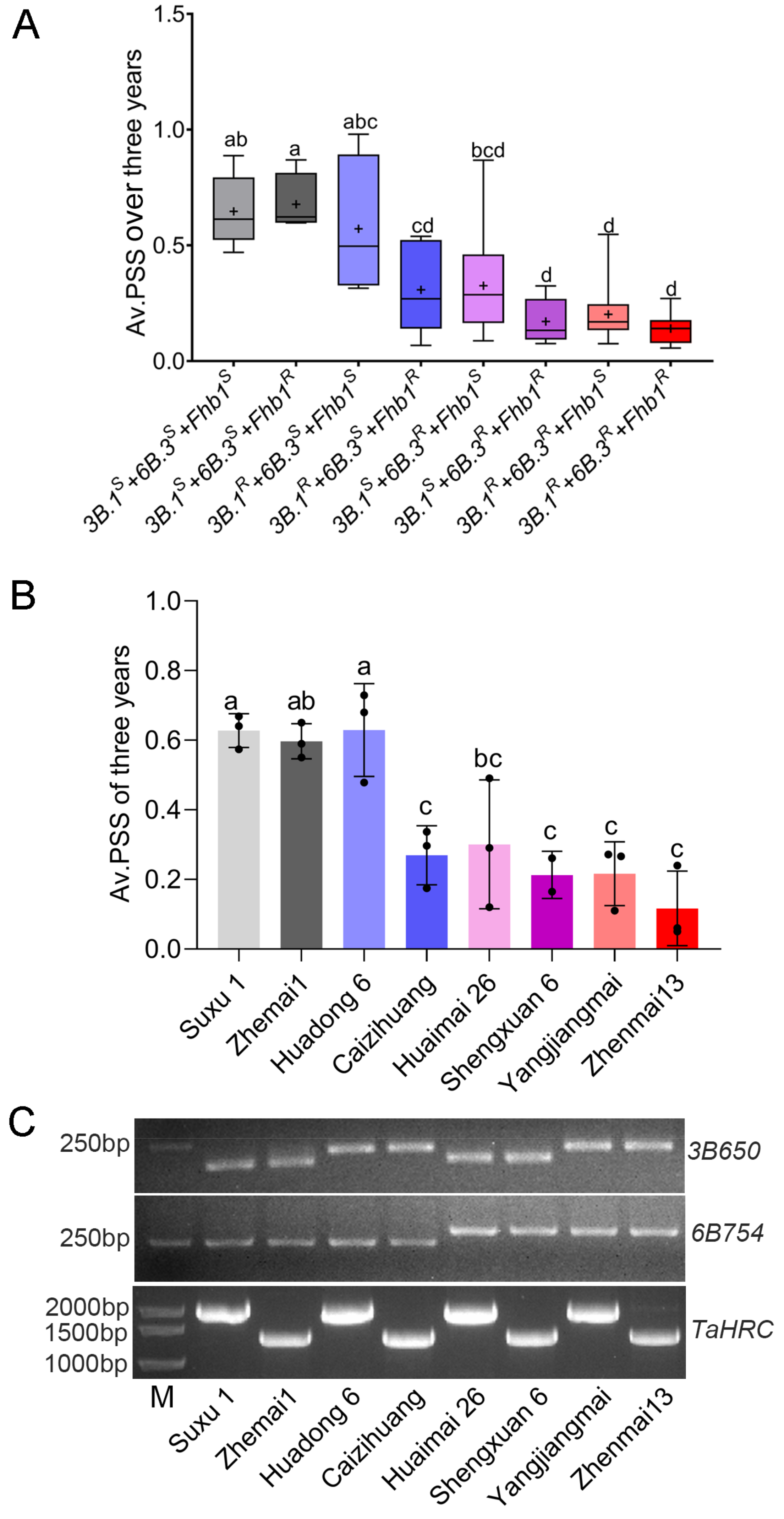 Agronomy 14 01230 g005