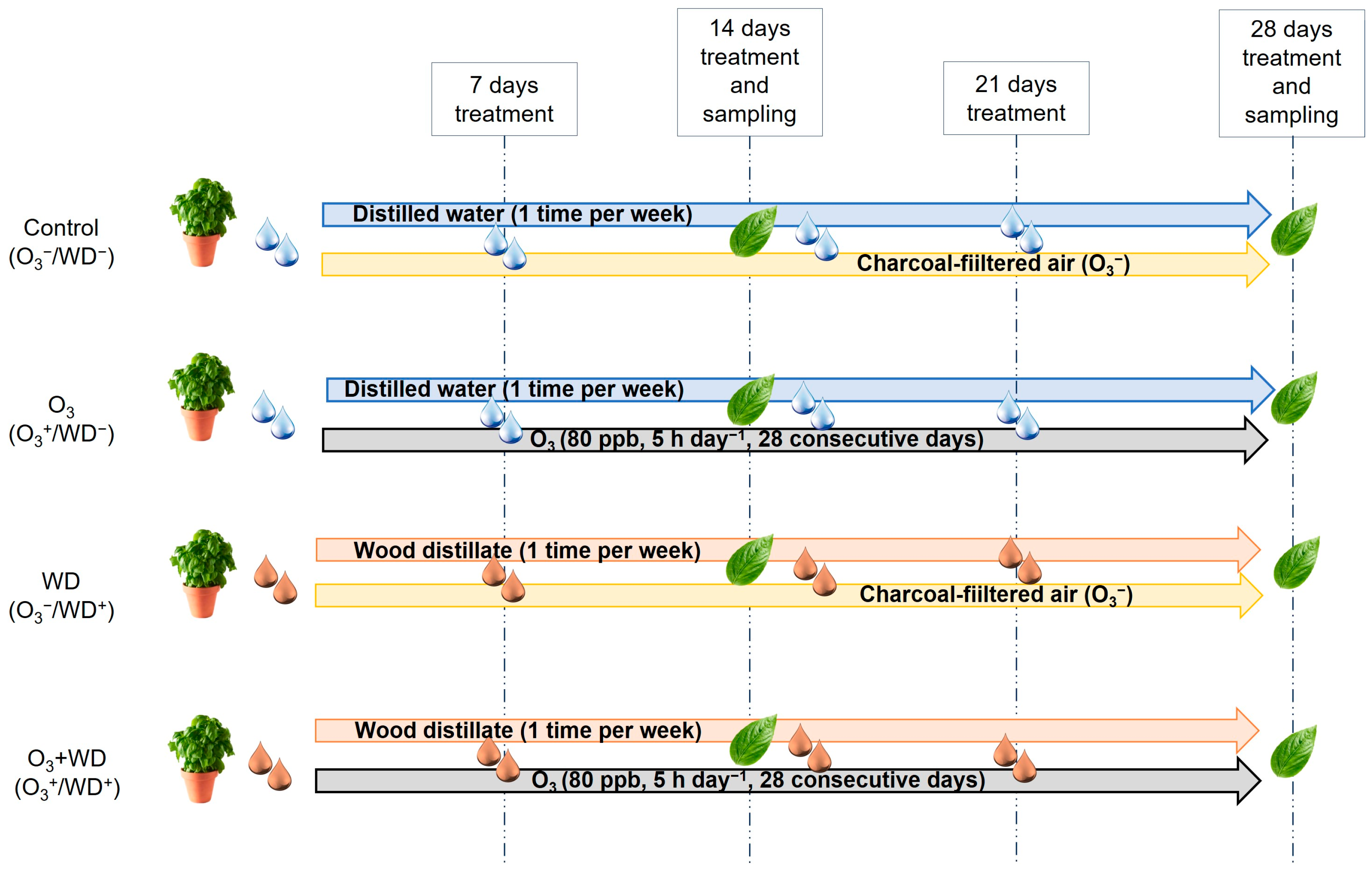 Agronomy 14 01233 g001