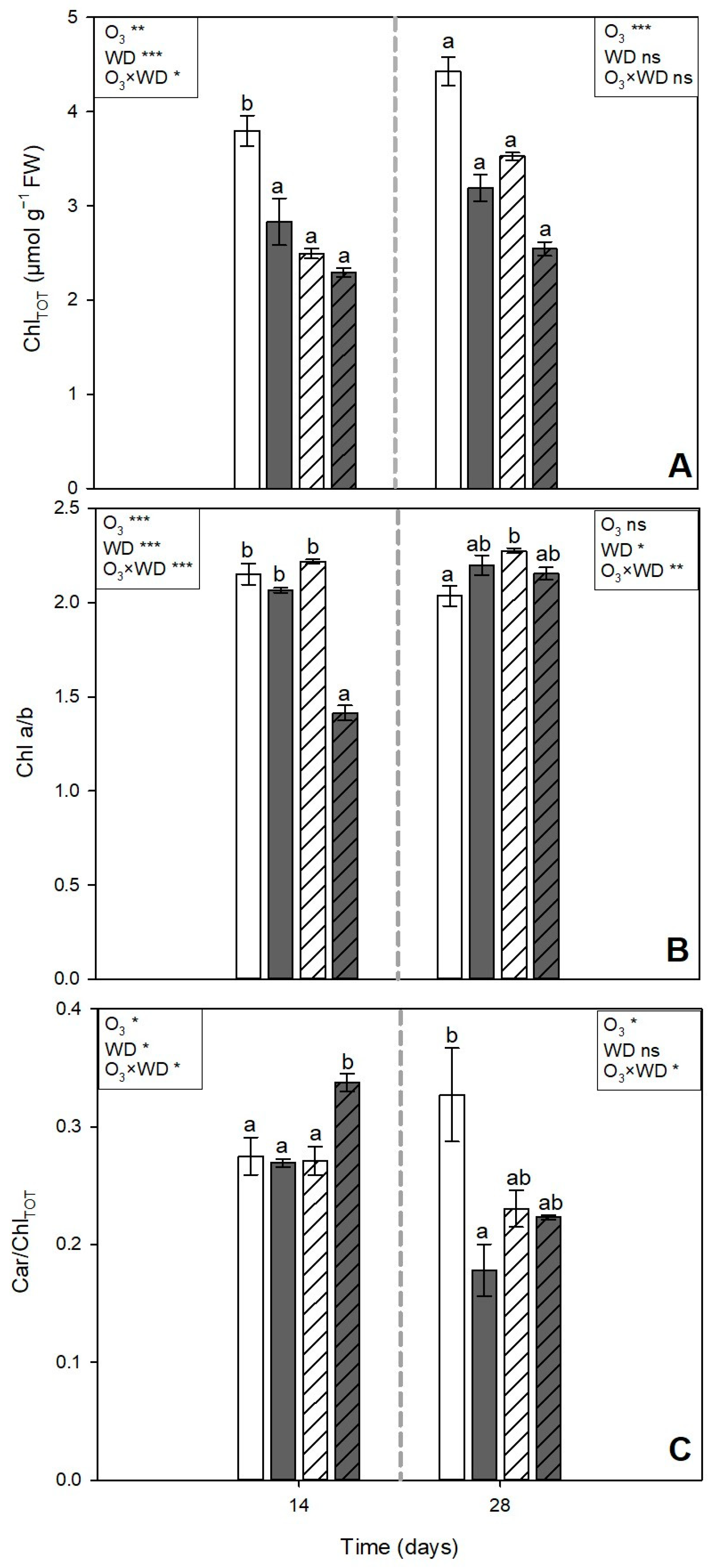 Agronomy 14 01233 g004