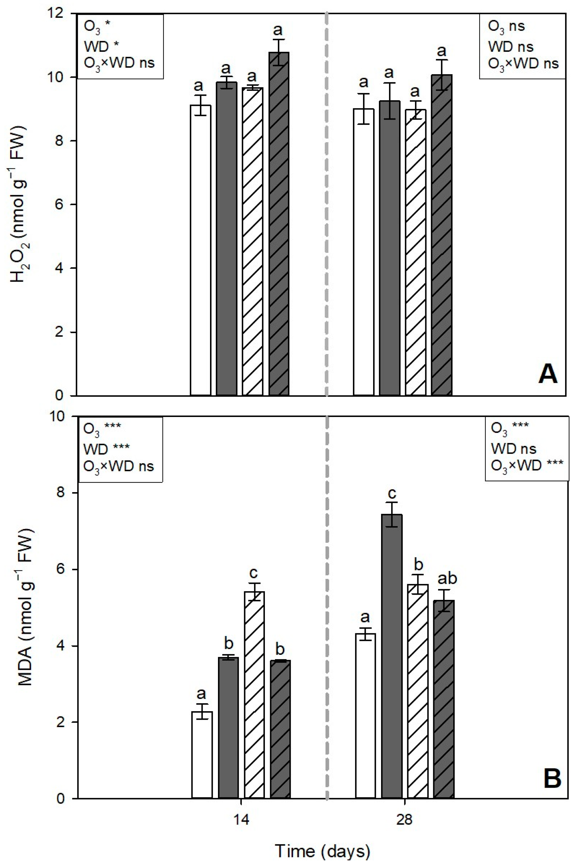 Agronomy 14 01233 g005