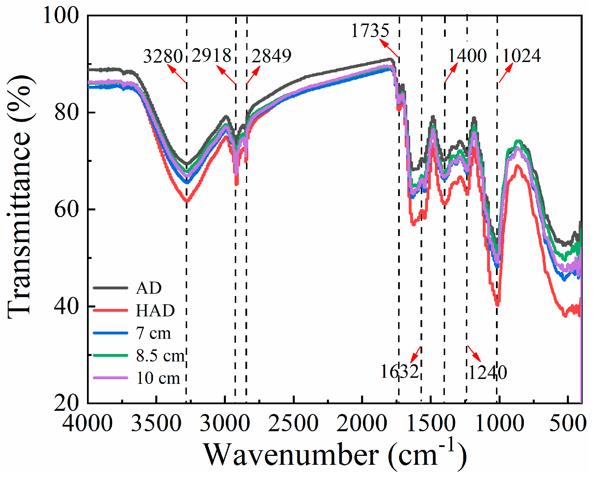 Agronomy 14 01235 g011