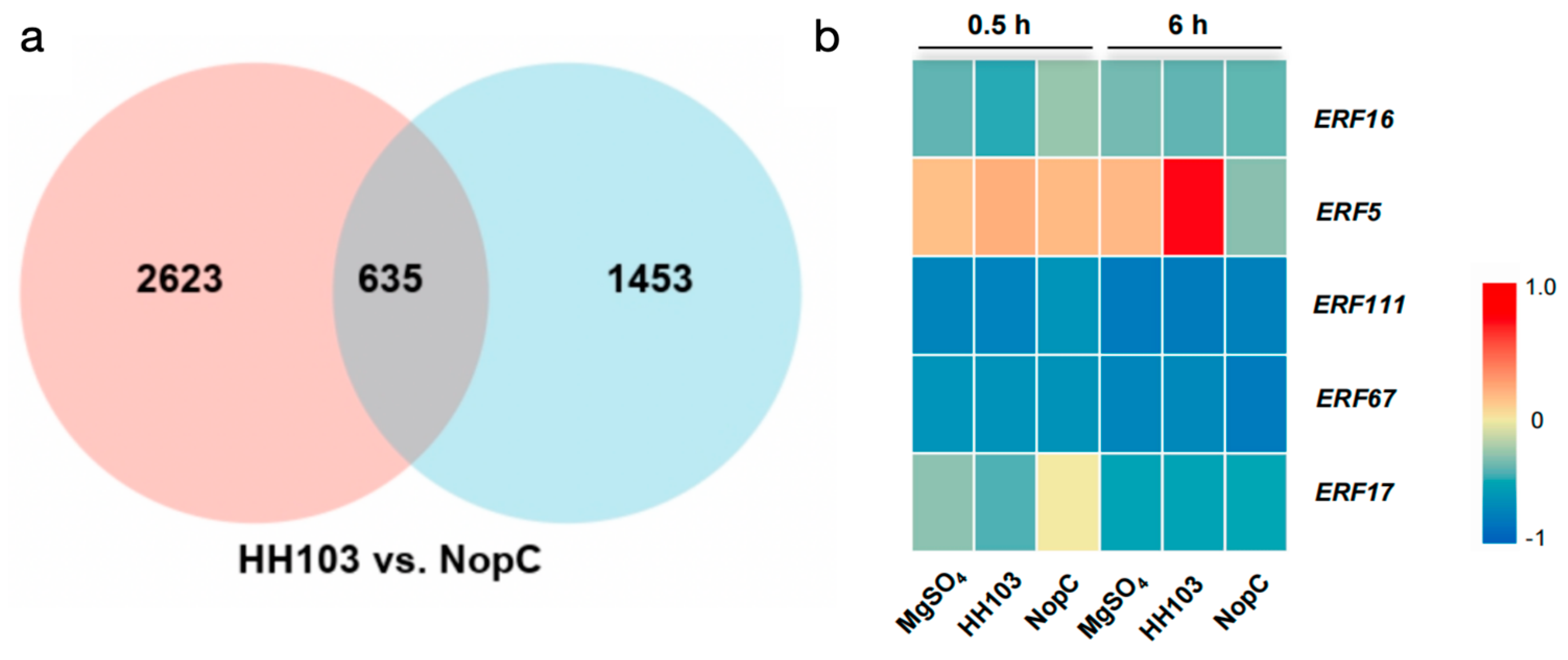Agronomy 14 01239 g004