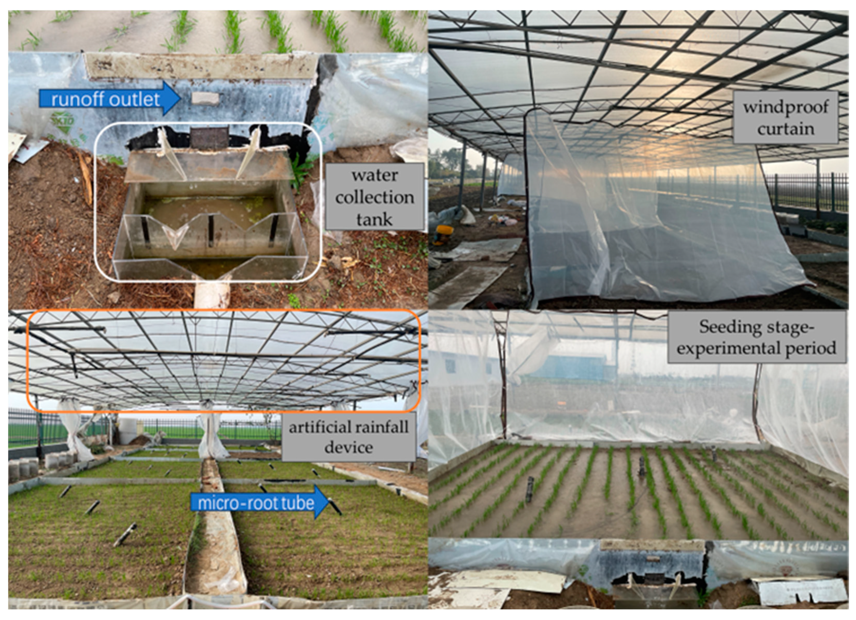 Agronomy 14 01247 g002 Agronomy 14 01247 g002