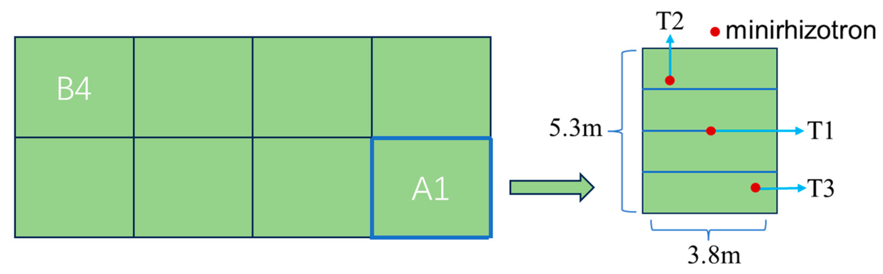 Agronomy 14 01247 g003 Agronomy 14 01247 g003