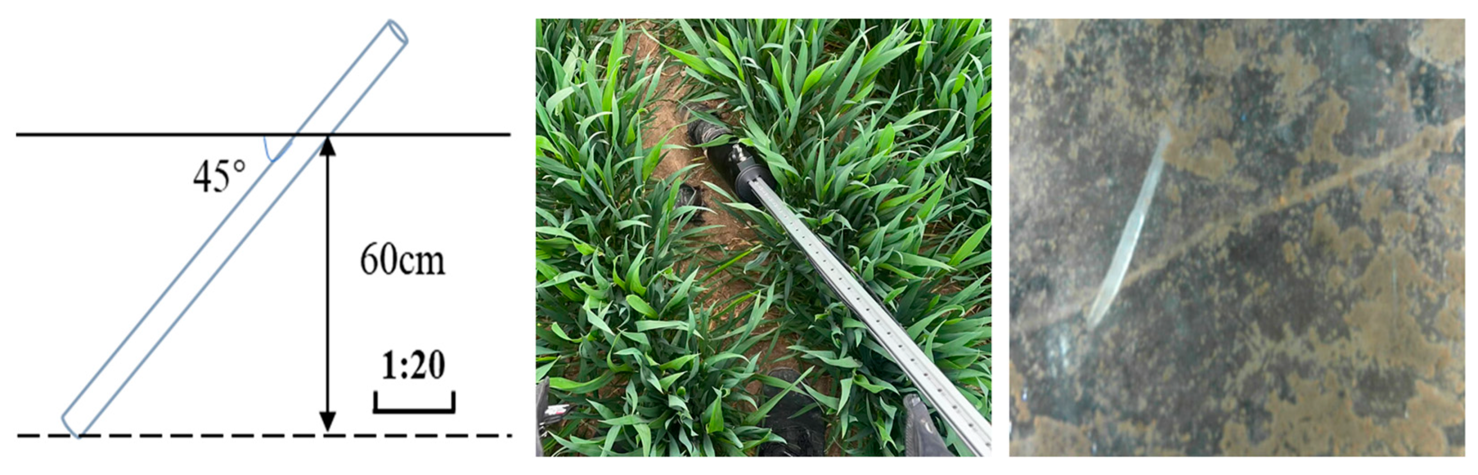 Agronomy 14 01247 g004 Agronomy 14 01247 g004