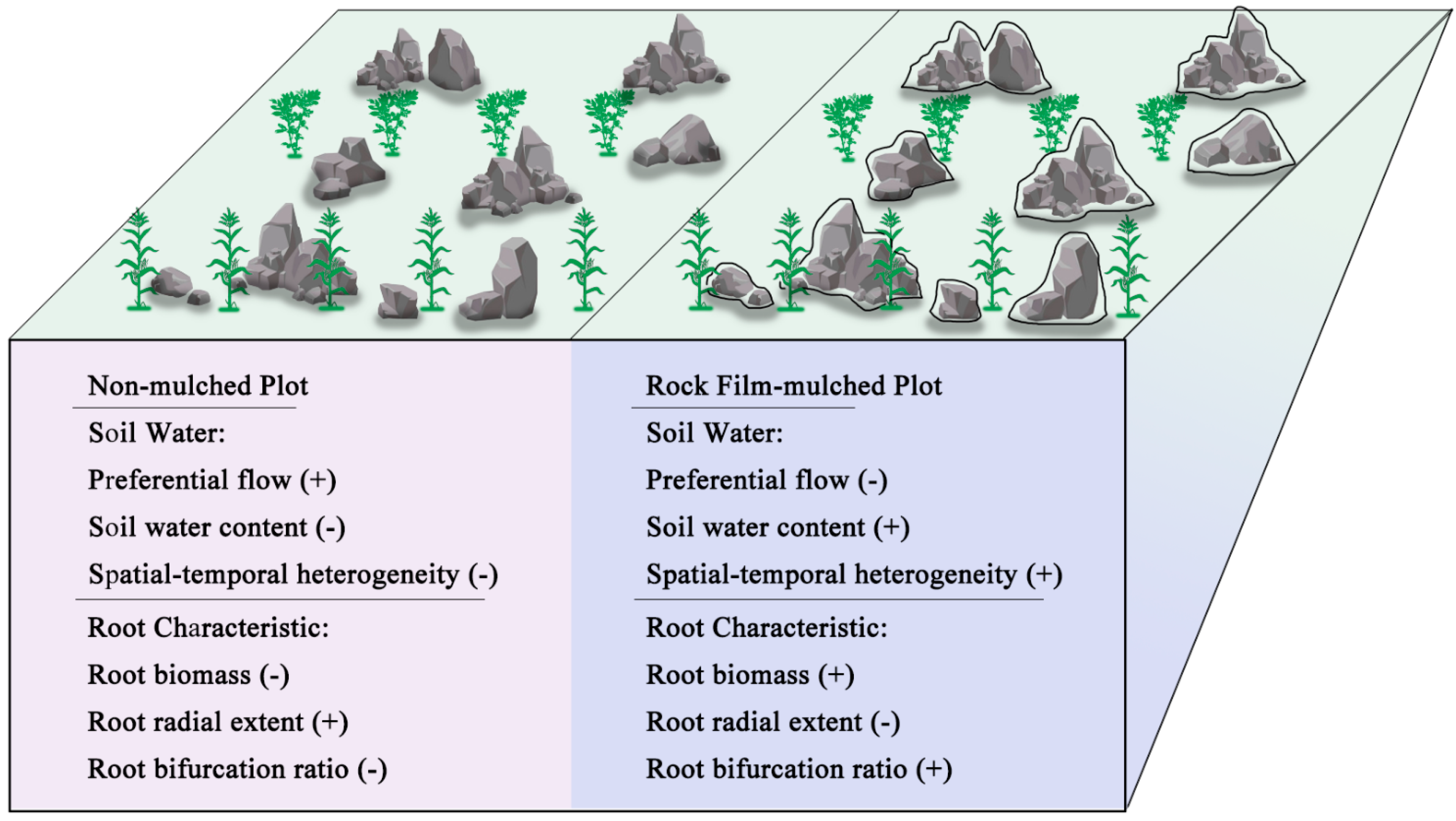 Agronomy 14 01265 g009