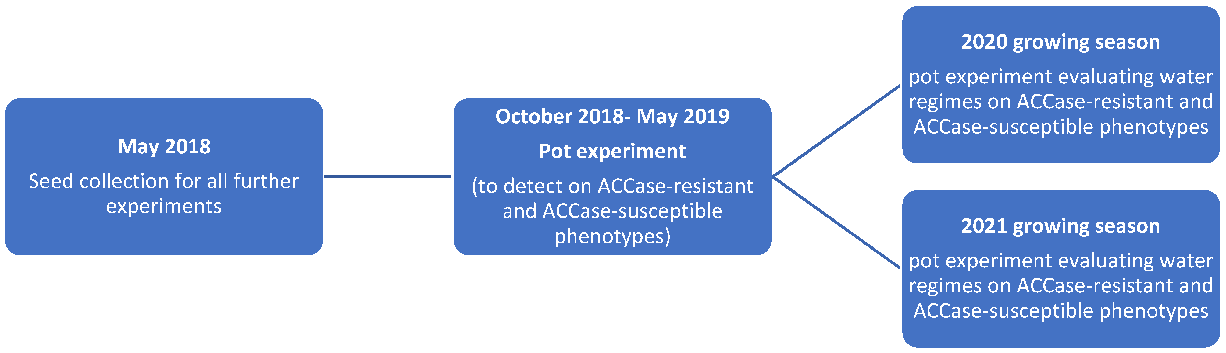 Agronomy 14 01268 g001