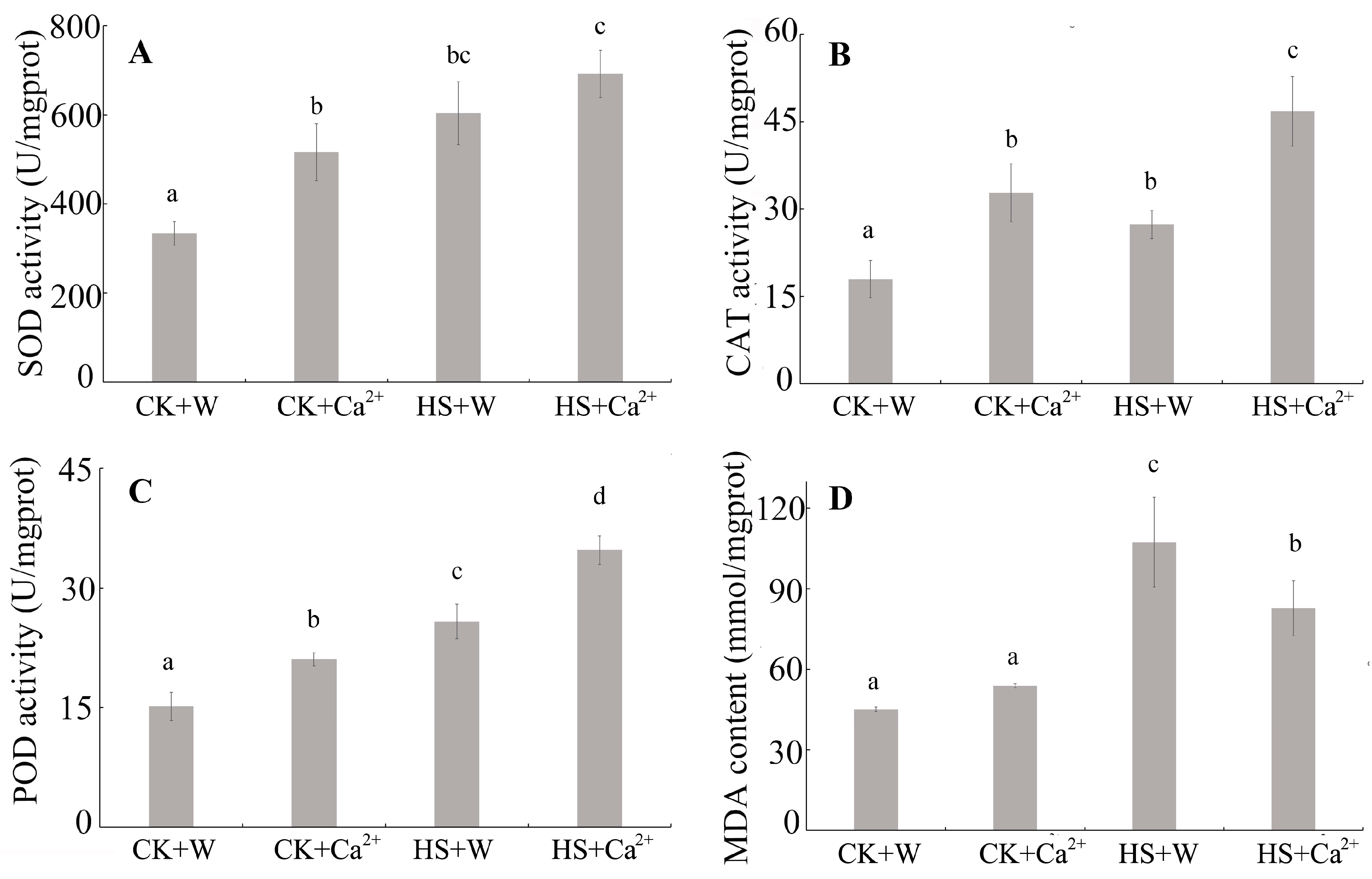 Agronomy 14 01282 g001