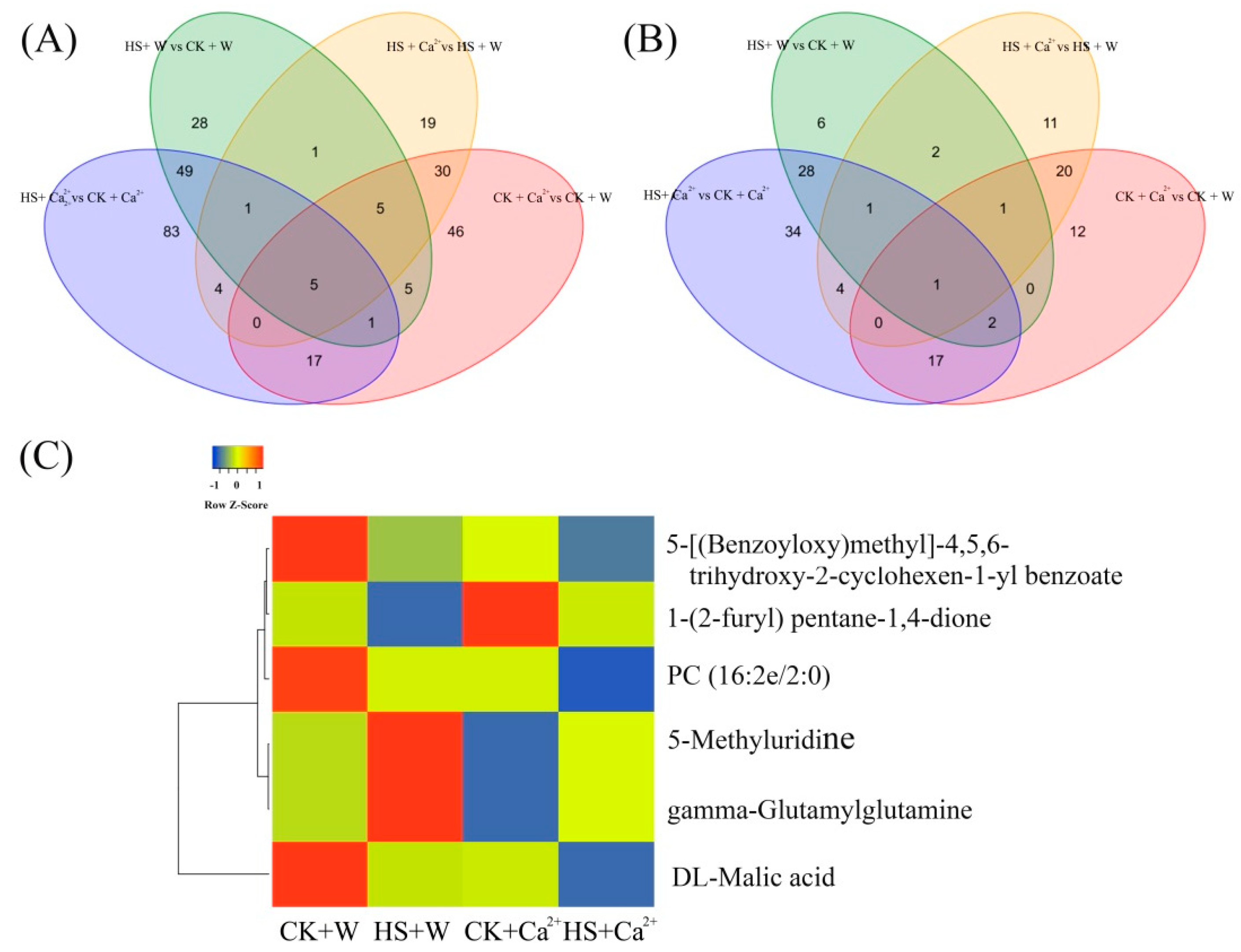 Agronomy 14 01282 g004