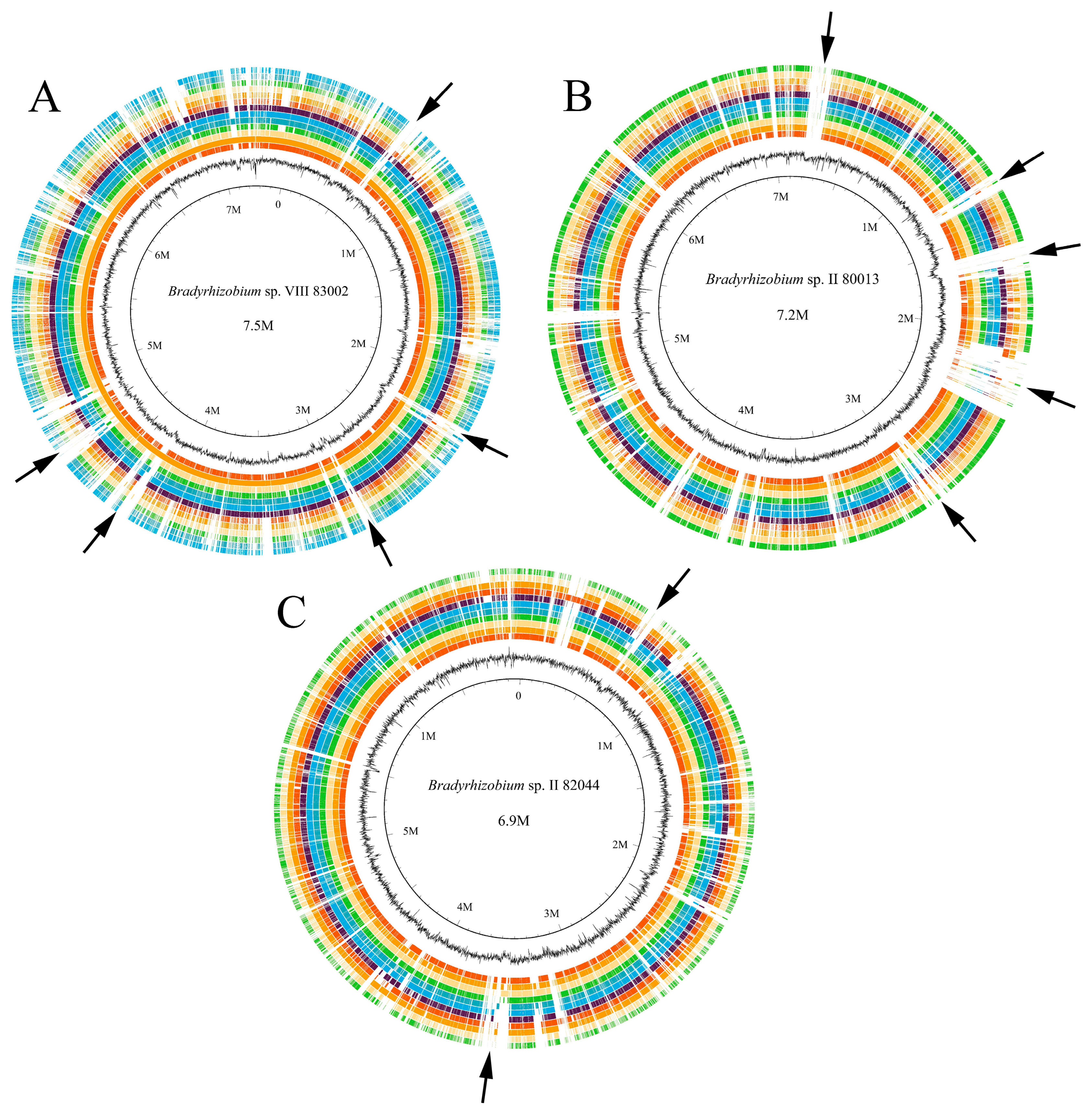 Agronomy 14 01295 g002 Agronomy 14 01295 g002