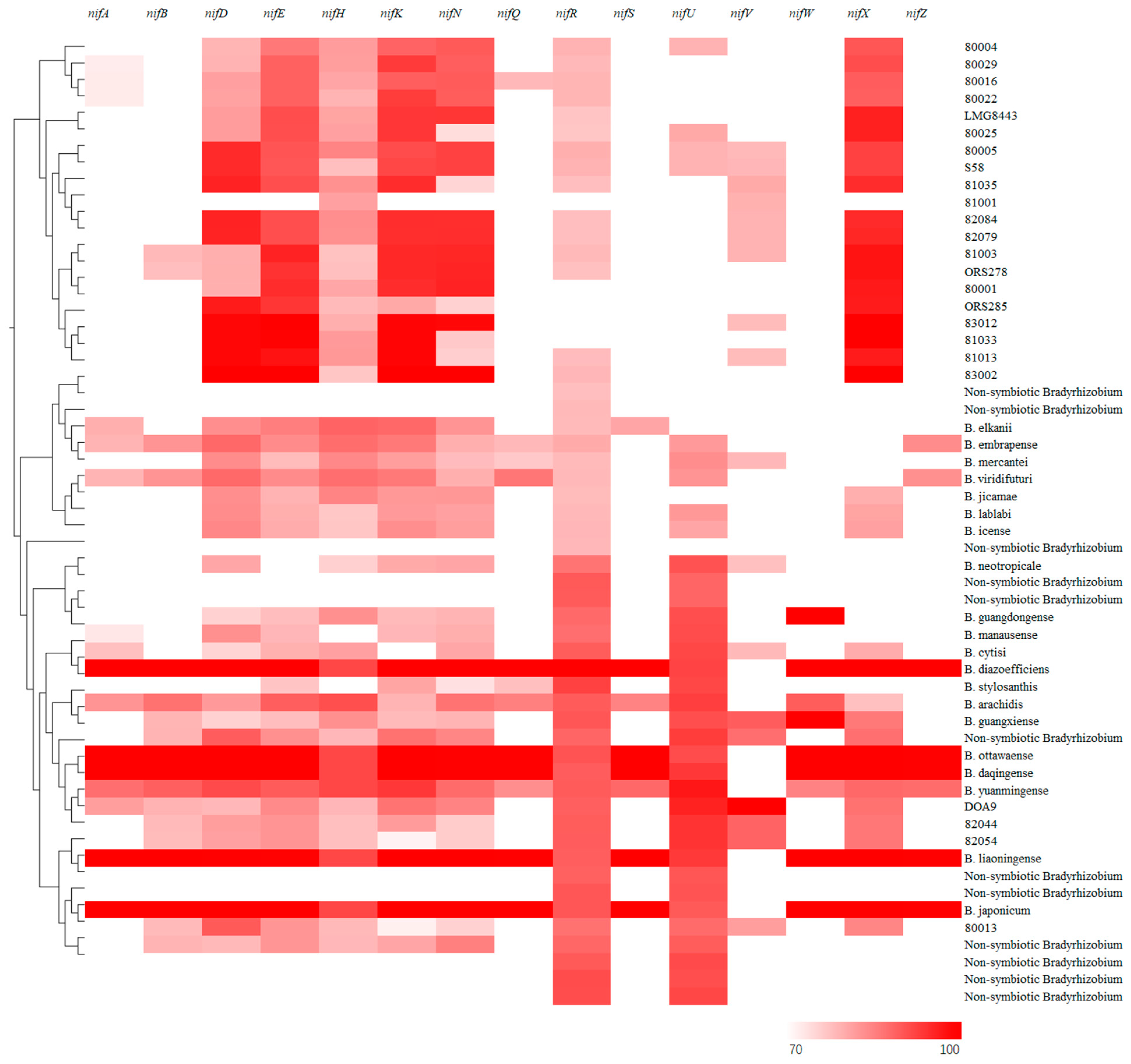 Agronomy 14 01295 g004 Agronomy 14 01295 g004