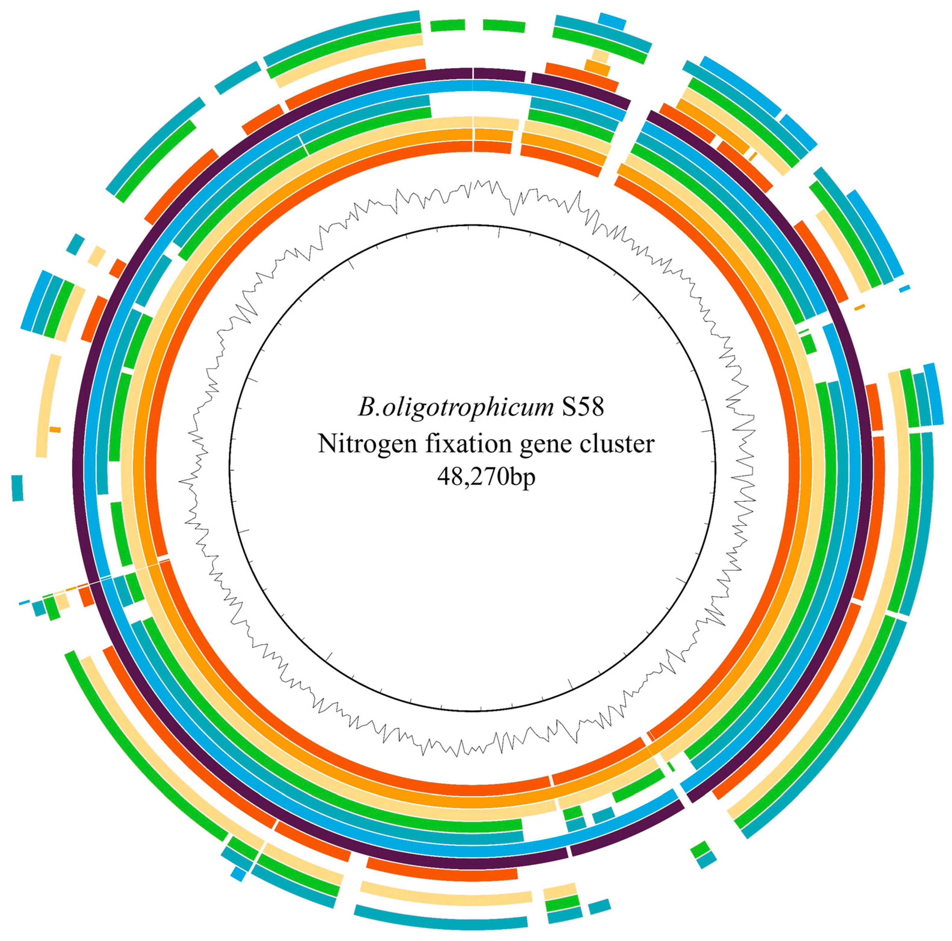 Agronomy 14 01295 g006 Agronomy 14 01295 g006