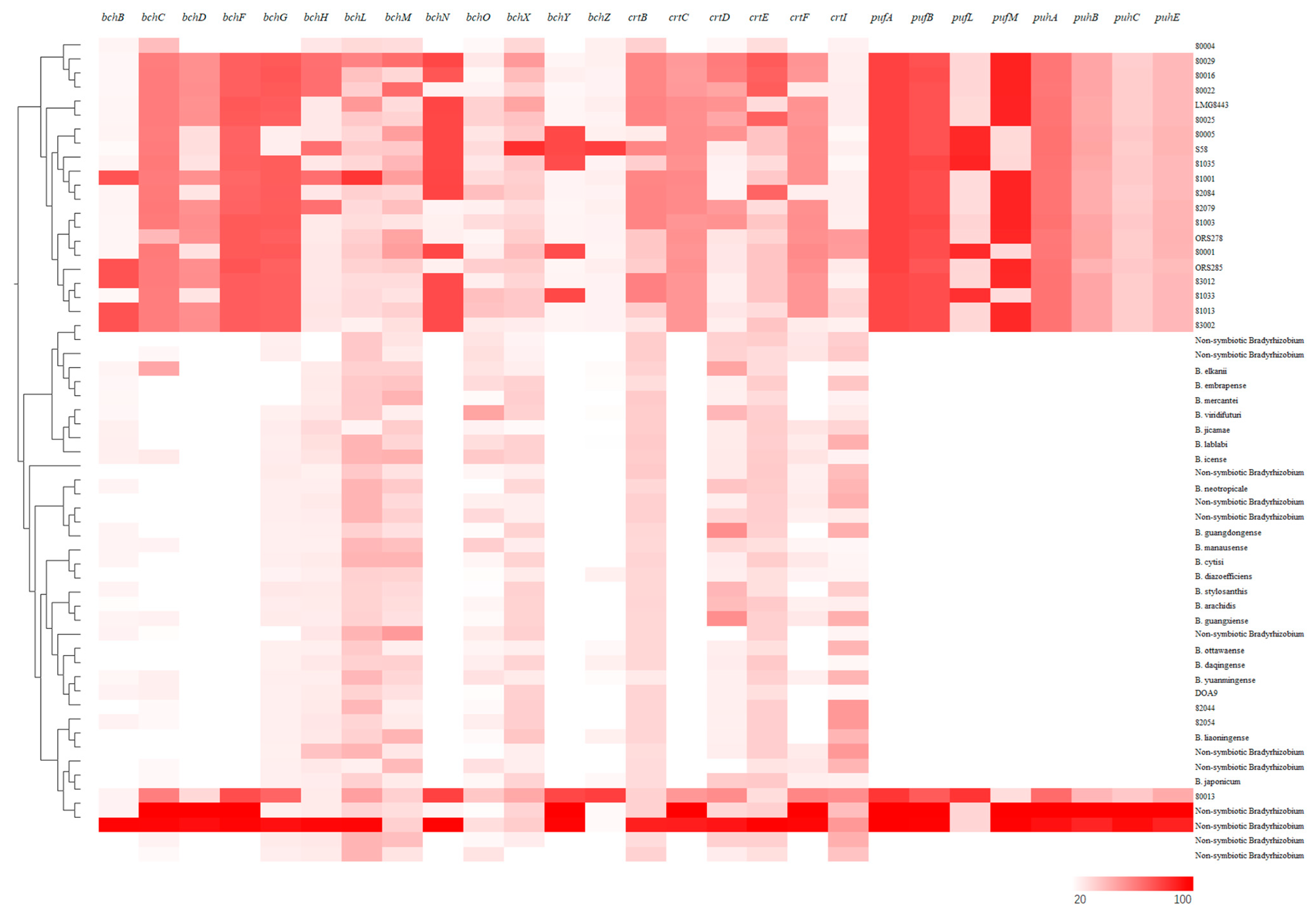 Agronomy 14 01295 g007 Agronomy 14 01295 g007
