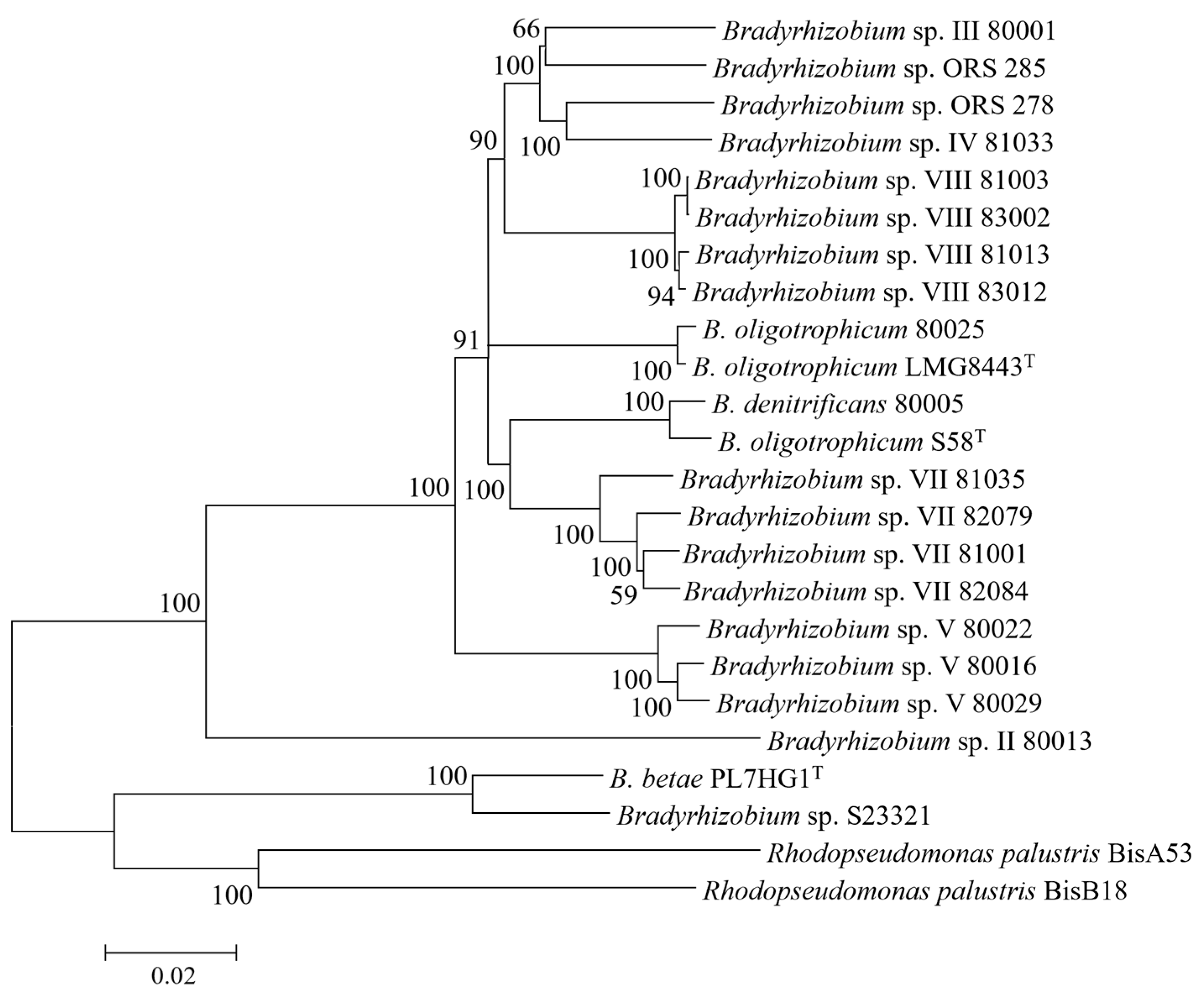 Agronomy 14 01295 g008 Agronomy 14 01295 g008