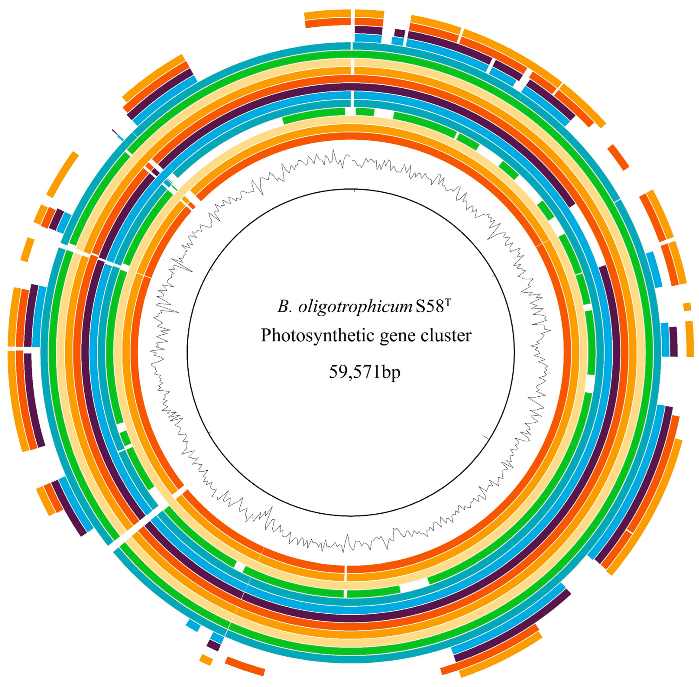 Agronomy 14 01295 g009 Agronomy 14 01295 g009
