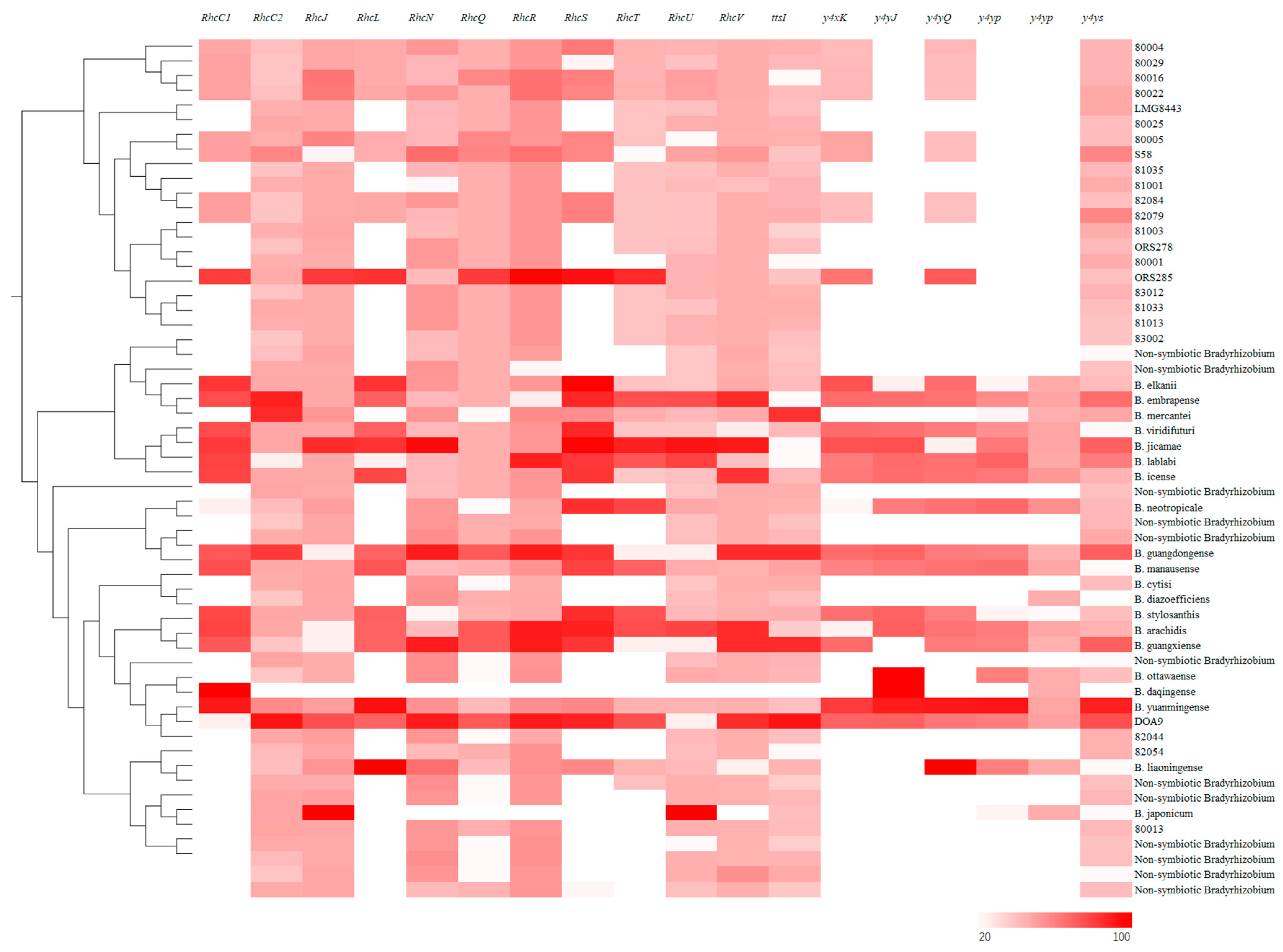Agronomy 14 01295 g010 Agronomy 14 01295 g010
