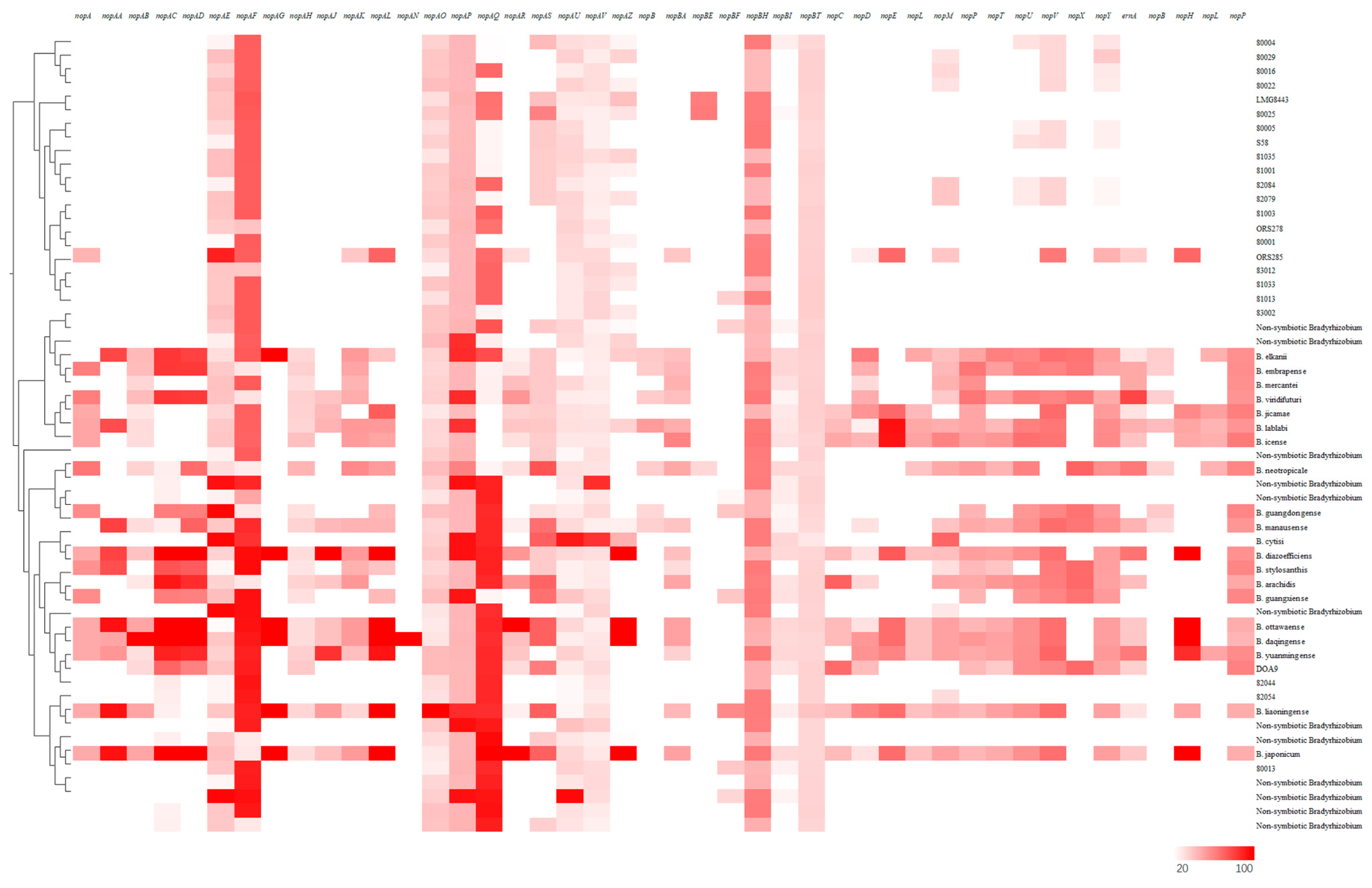 Agronomy 14 01295 g011 Agronomy 14 01295 g011