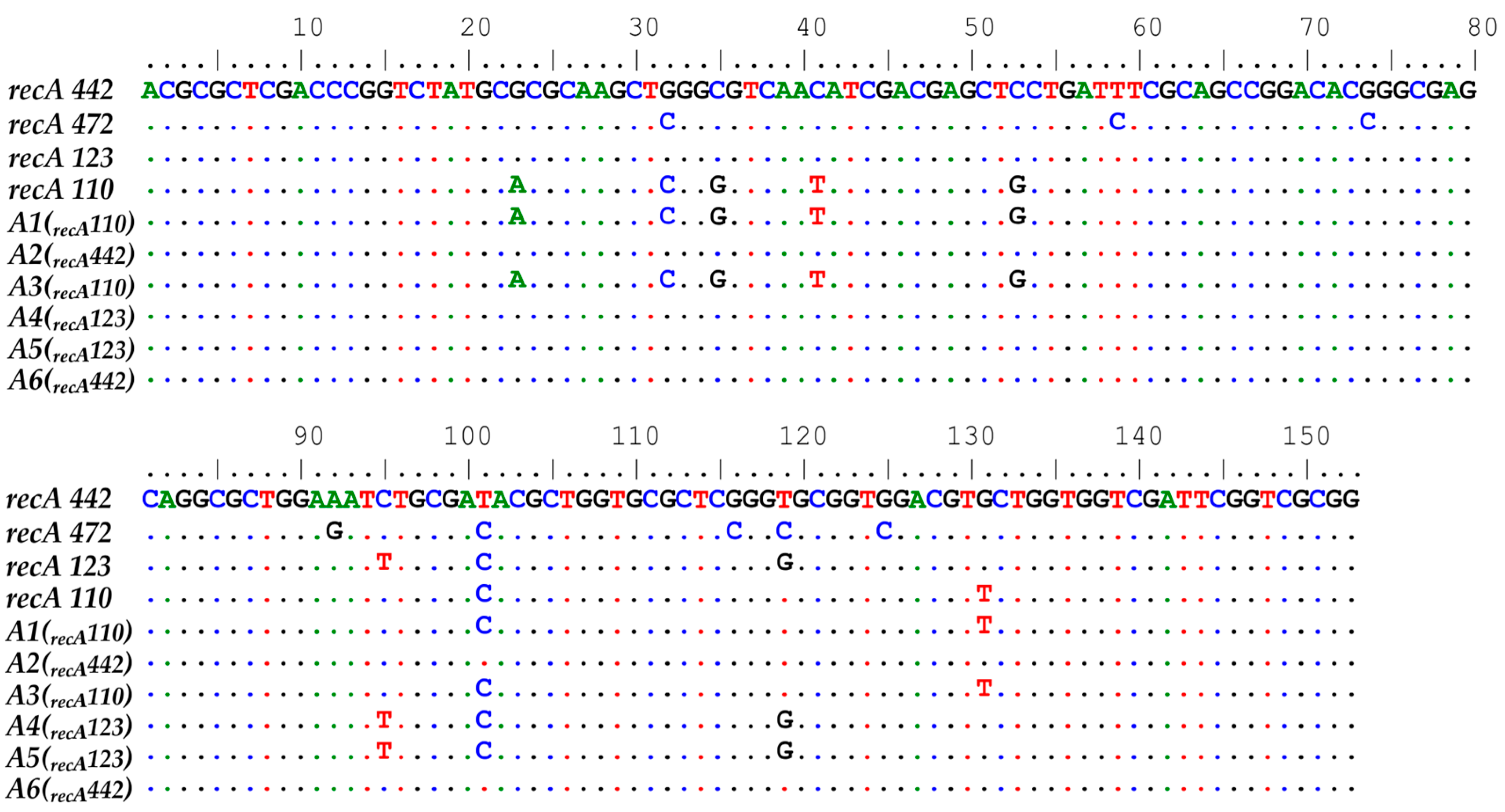 Agronomy 14 01305 g006 Agronomy 14 01305 g006