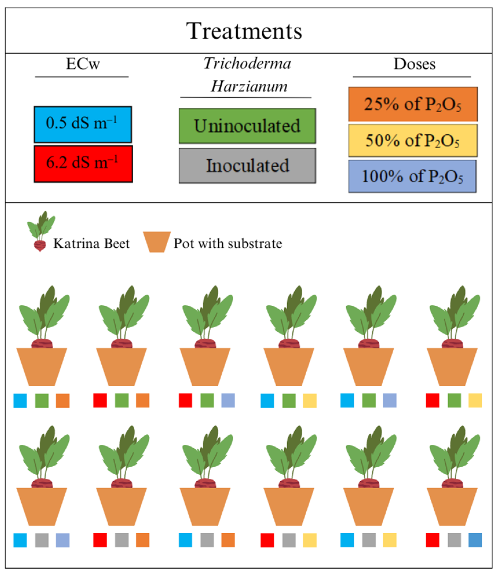 Agronomy 14 01306 g002
