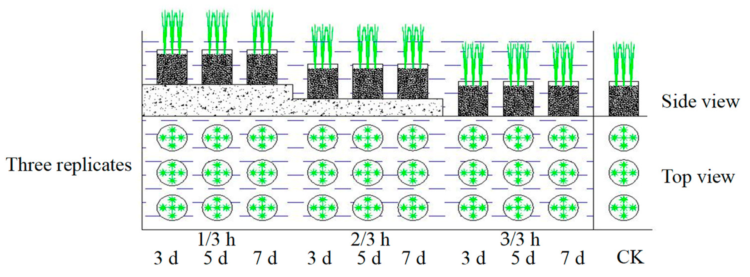 Agronomy 14 01319 g003