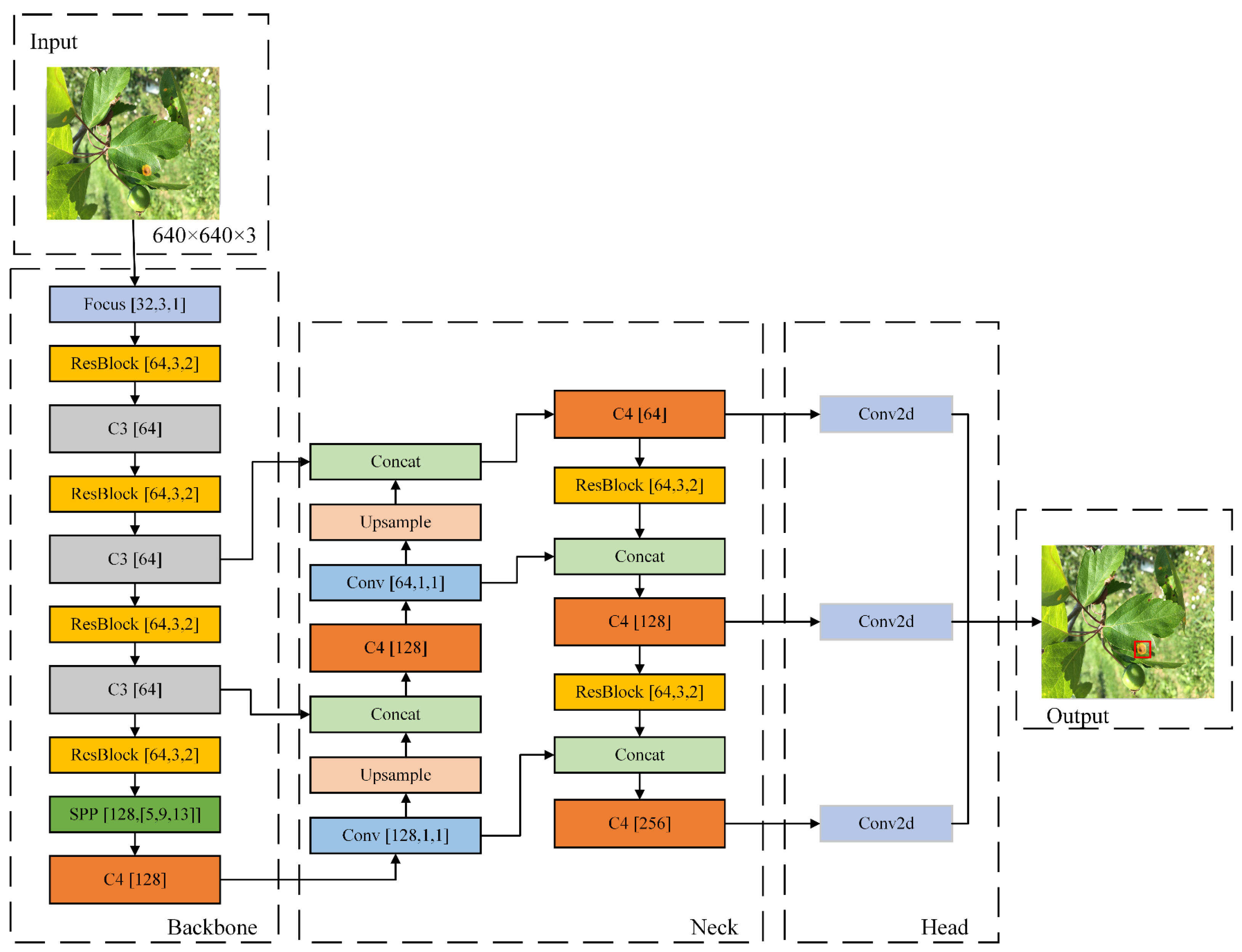 Agronomy 14 01331 g005
