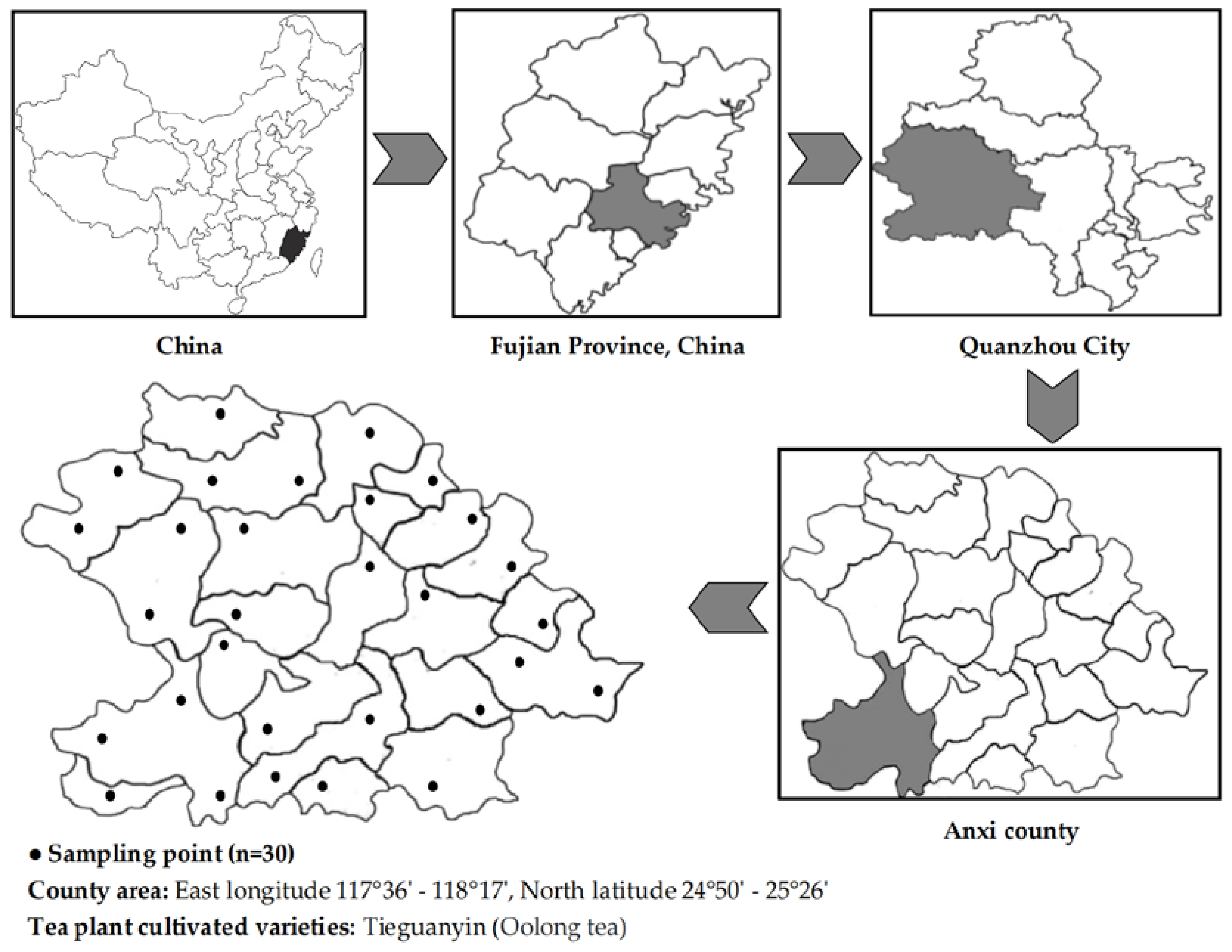 Agronomy 14 01338 g001