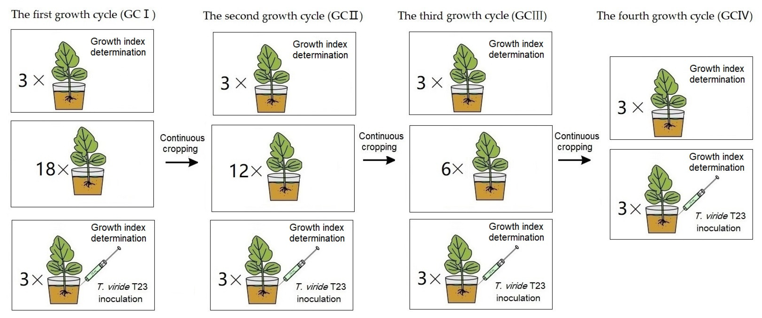 Agronomy 14 01344 g003