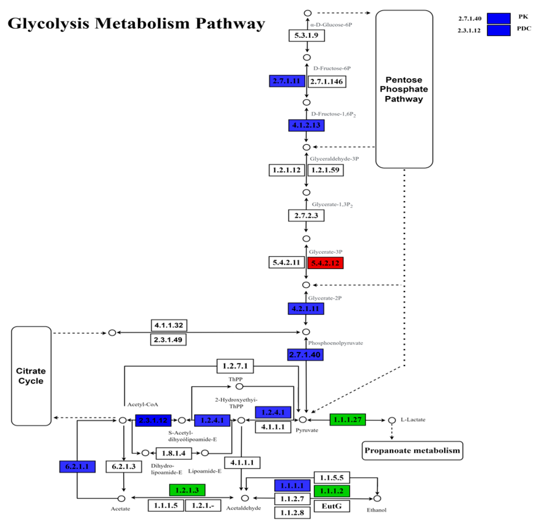 Agronomy 14 01347 g004