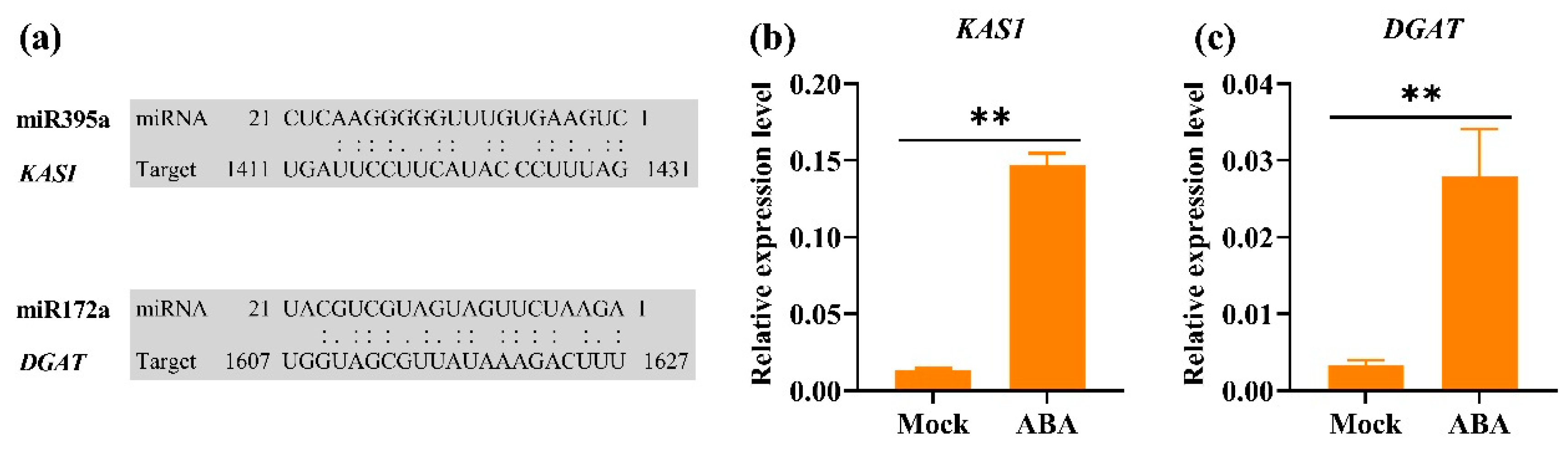 Agronomy 14 01358 g007