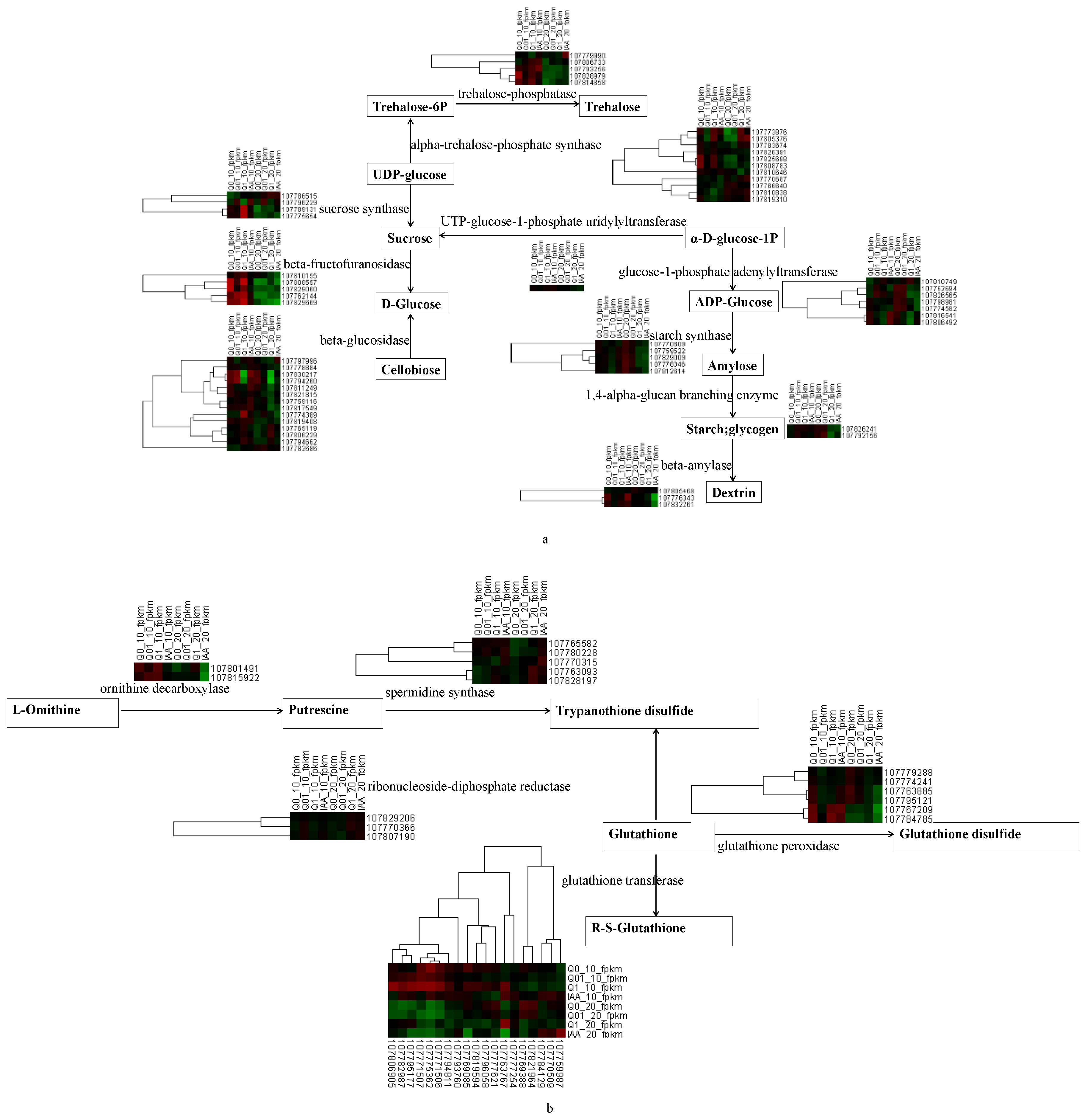 Agronomy 14 01364 g004