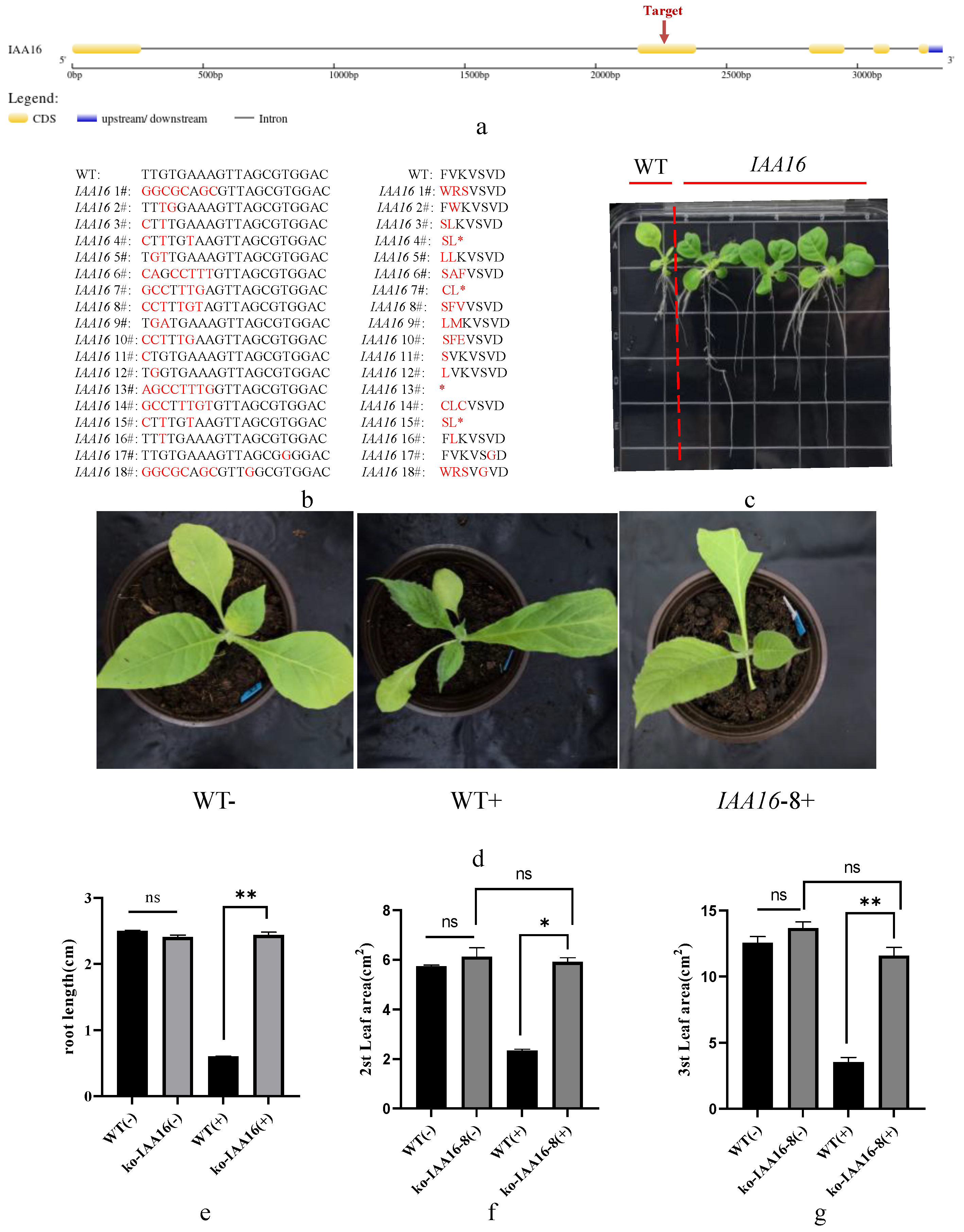 Agronomy 14 01364 g008