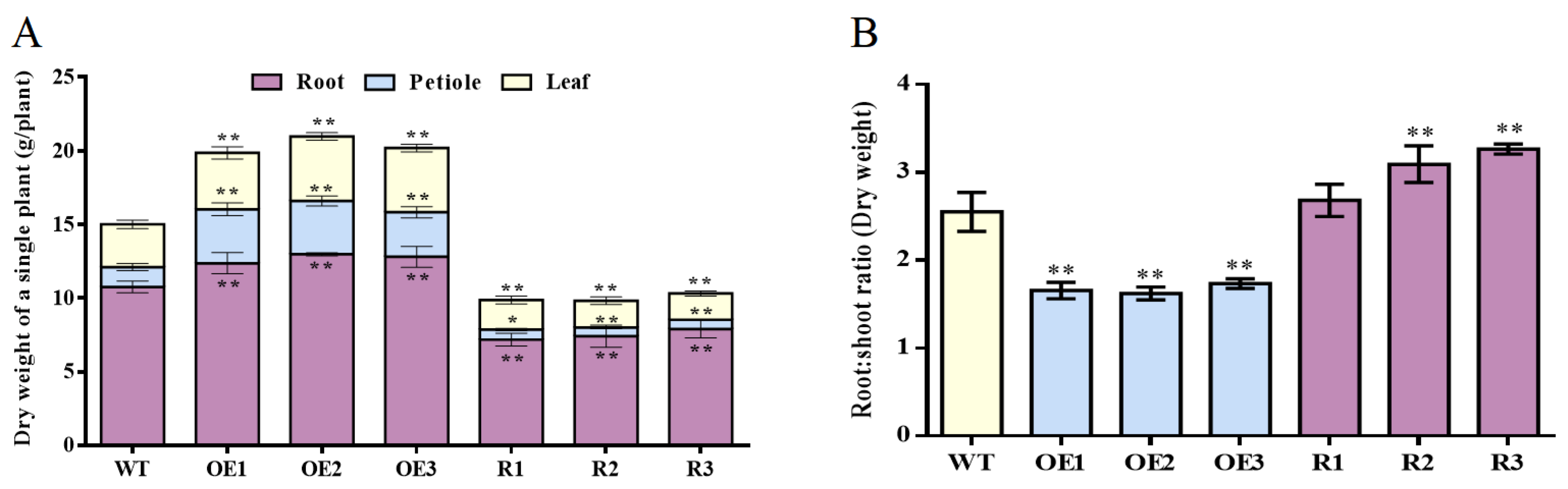 Agronomy 14 01367 g005