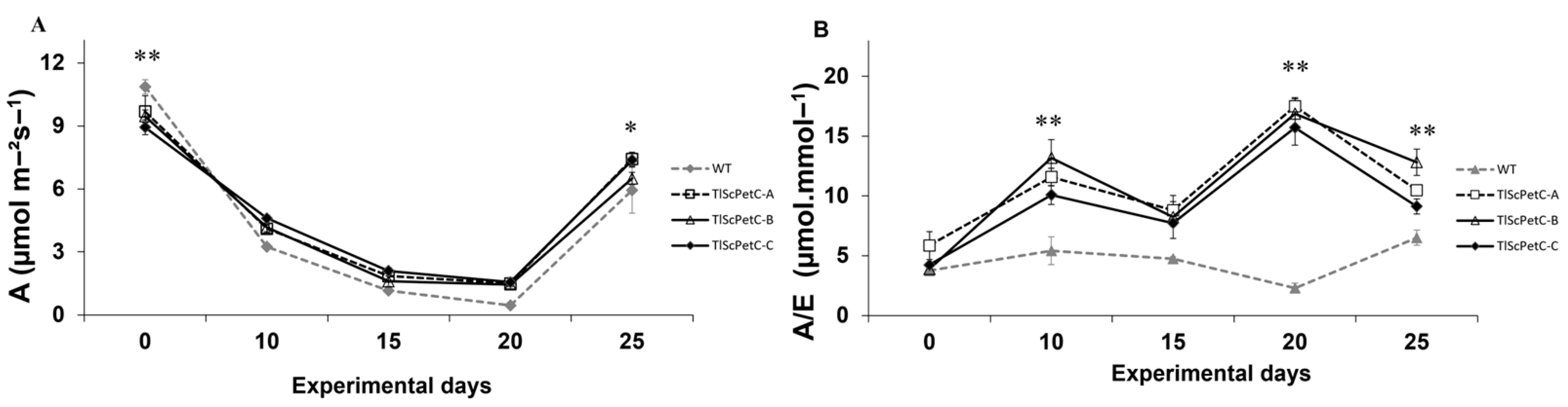 Agronomy 14 01371 g004