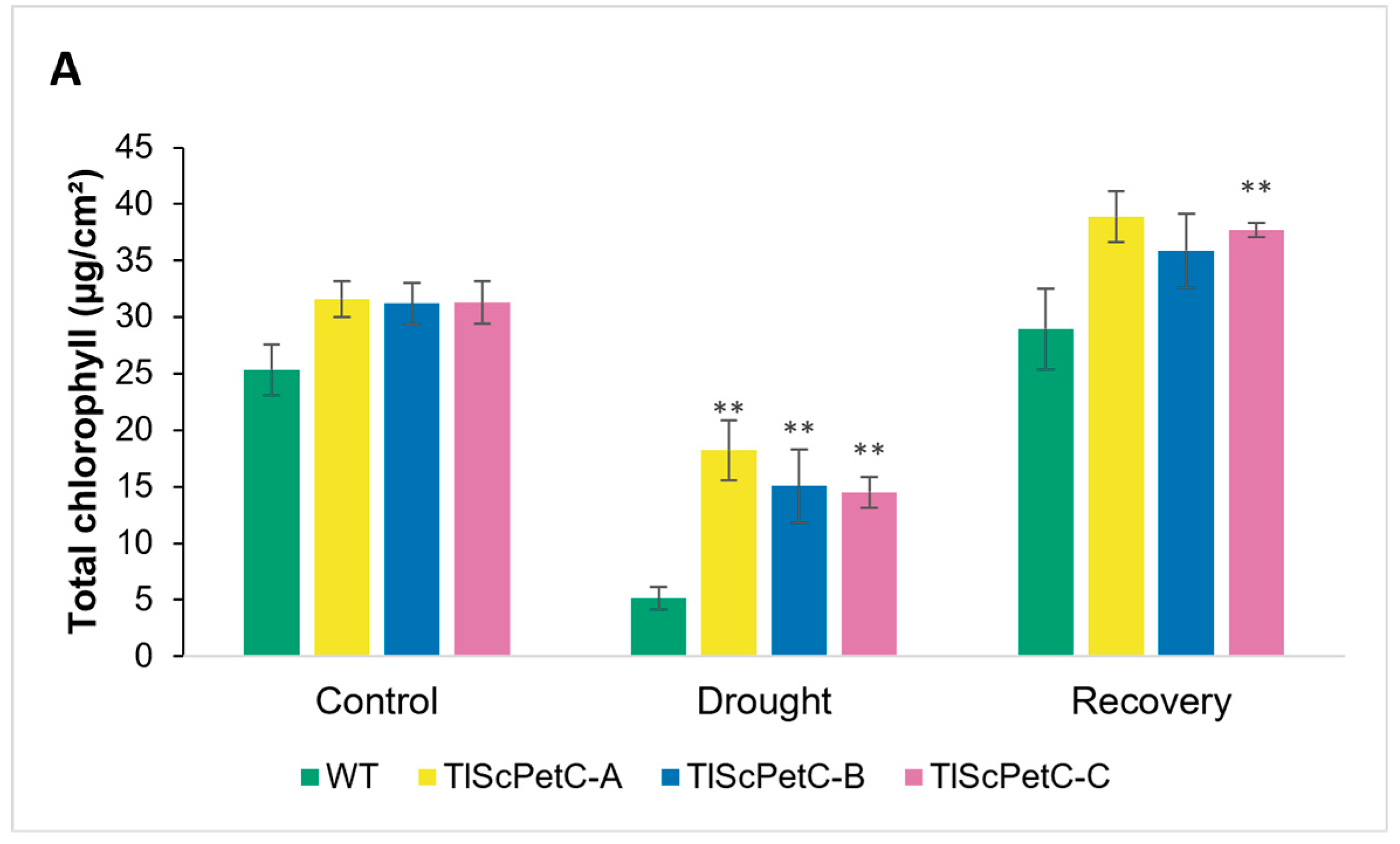 Agronomy 14 01371 g005a