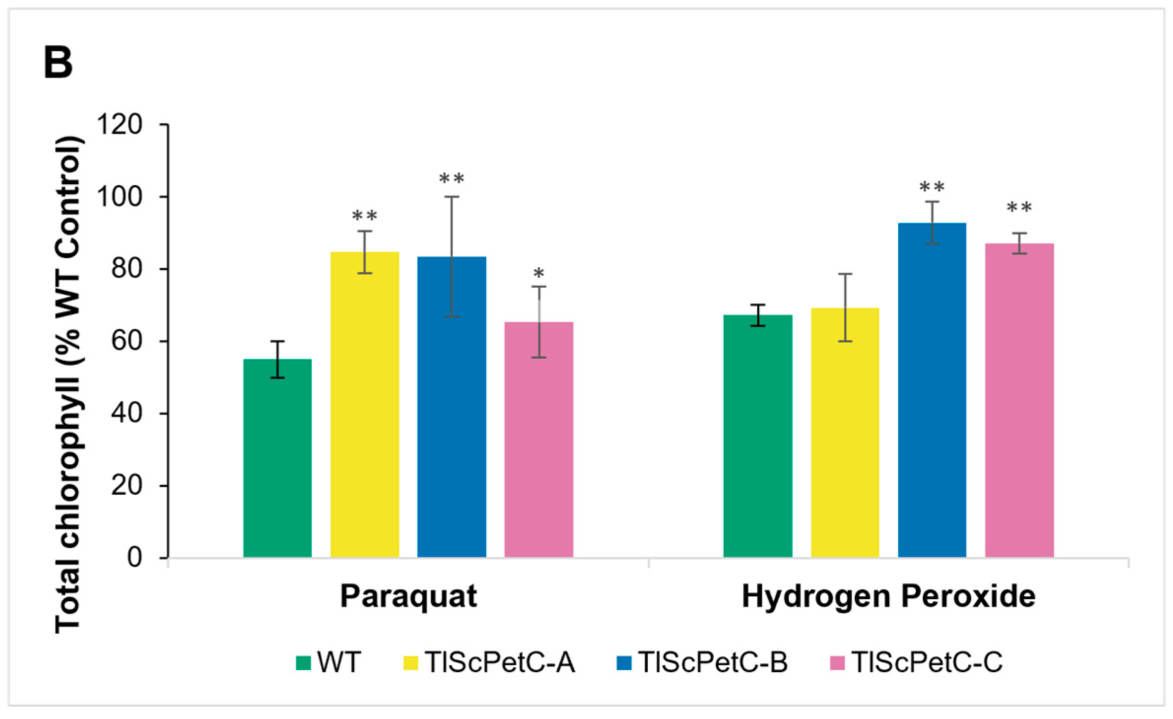 Agronomy 14 01371 g005b
