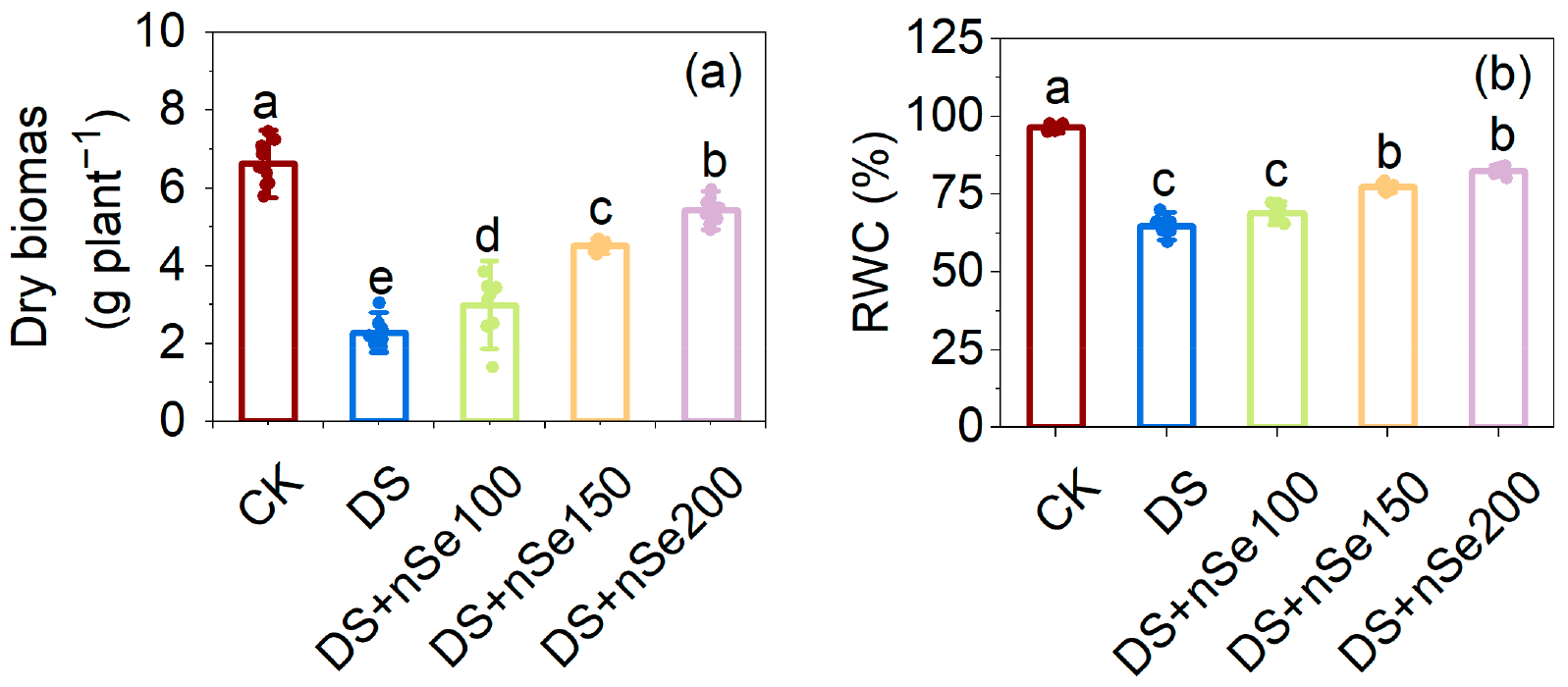 Agronomy 14 01372 g001