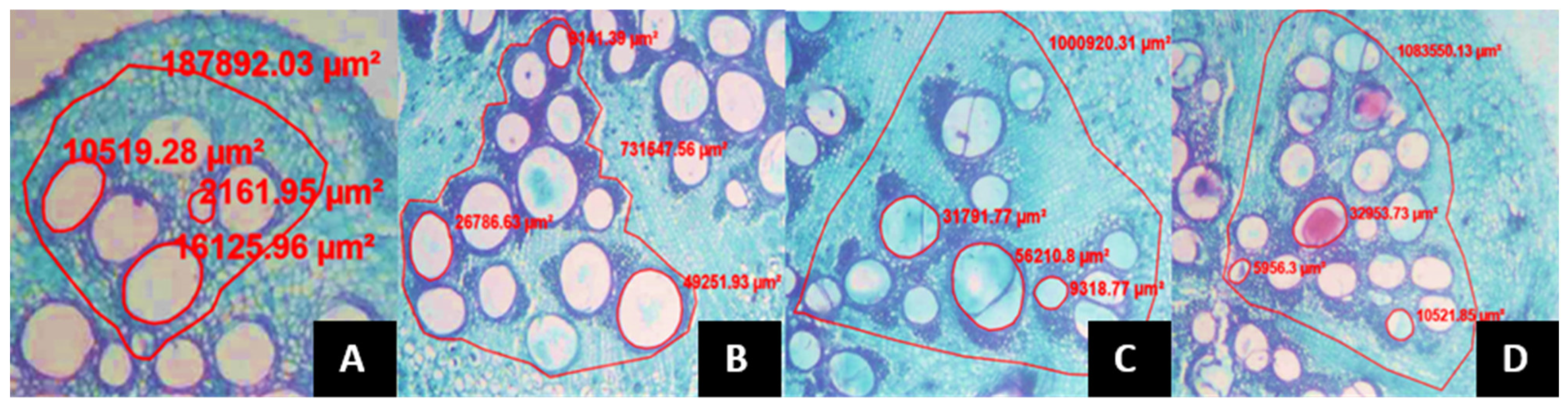 Agronomy 14 01377 g001