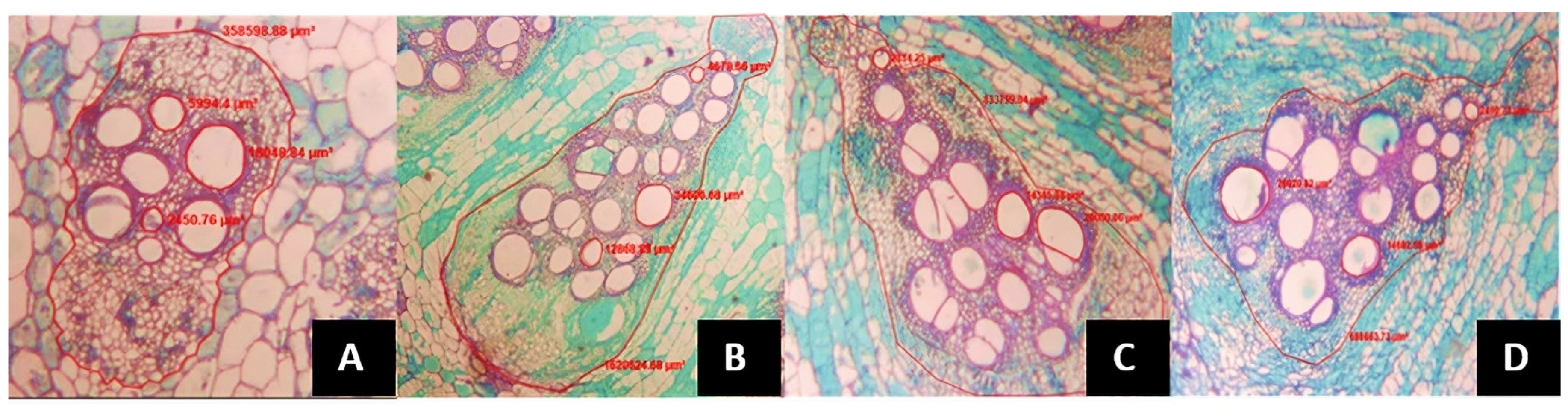 Agronomy 14 01377 g002