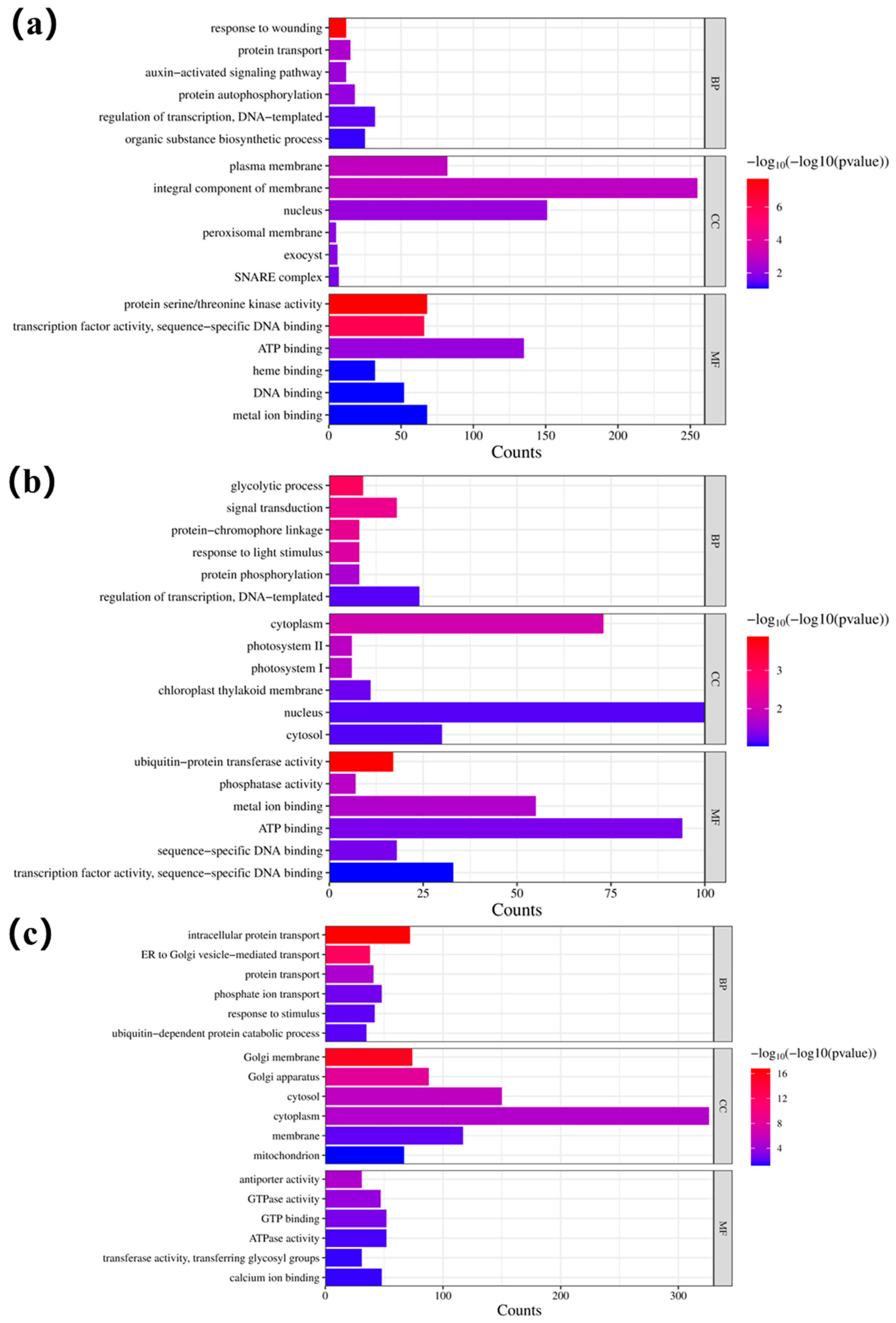 Agronomy 14 01380 g012