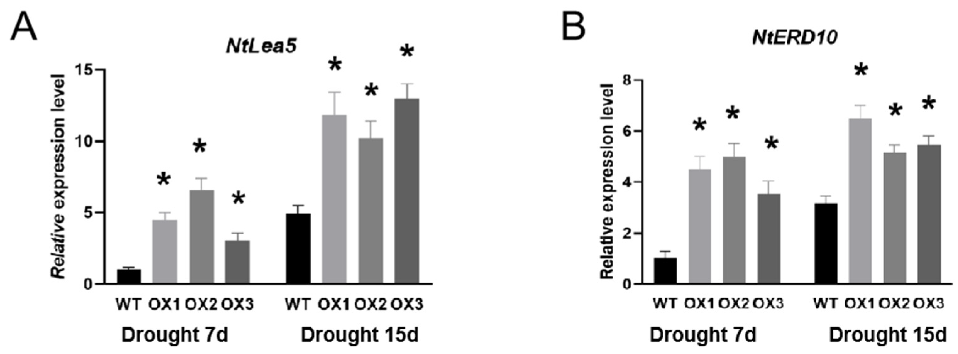 Agronomy 14 01381 g006