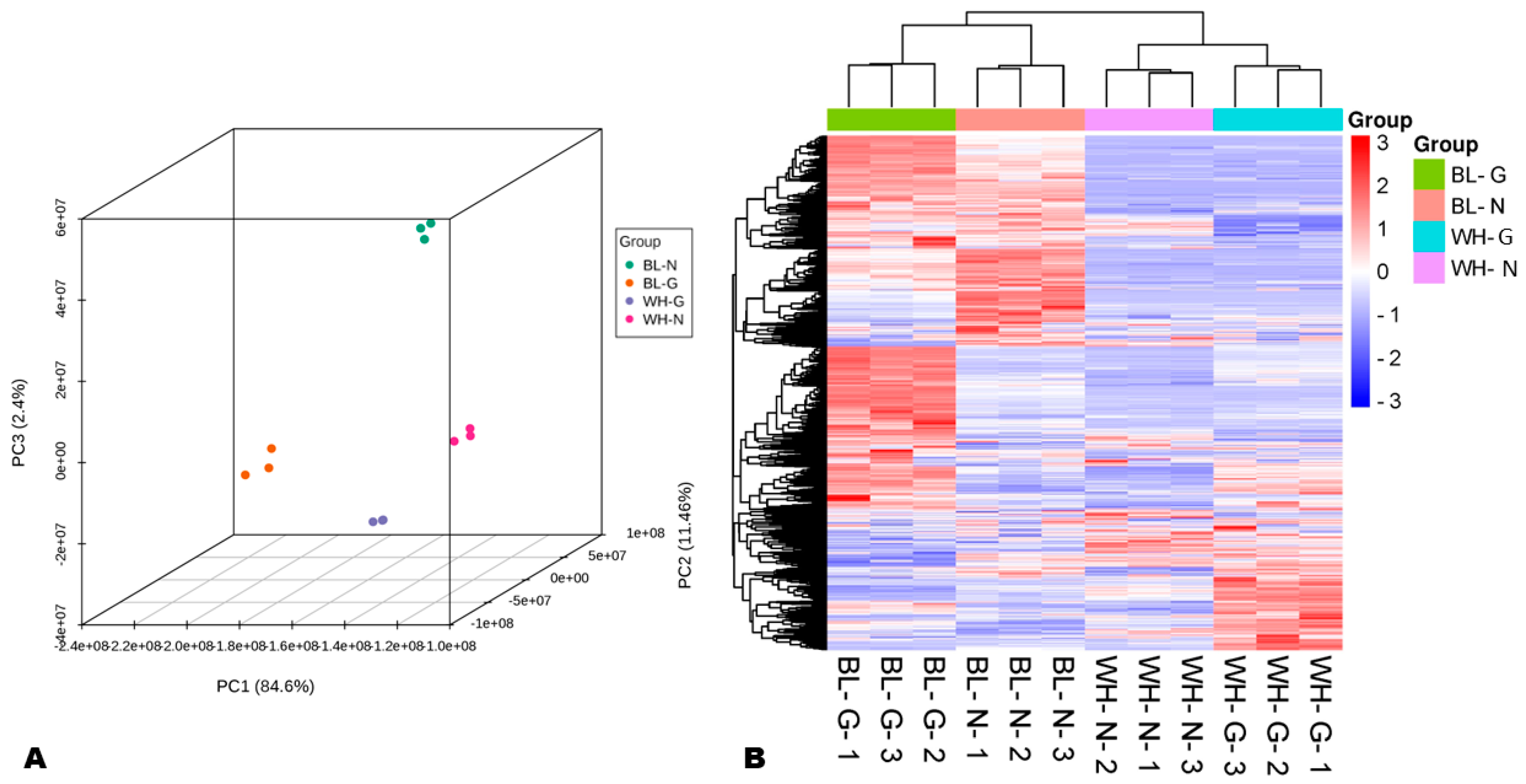 Agronomy 14 01383 g001