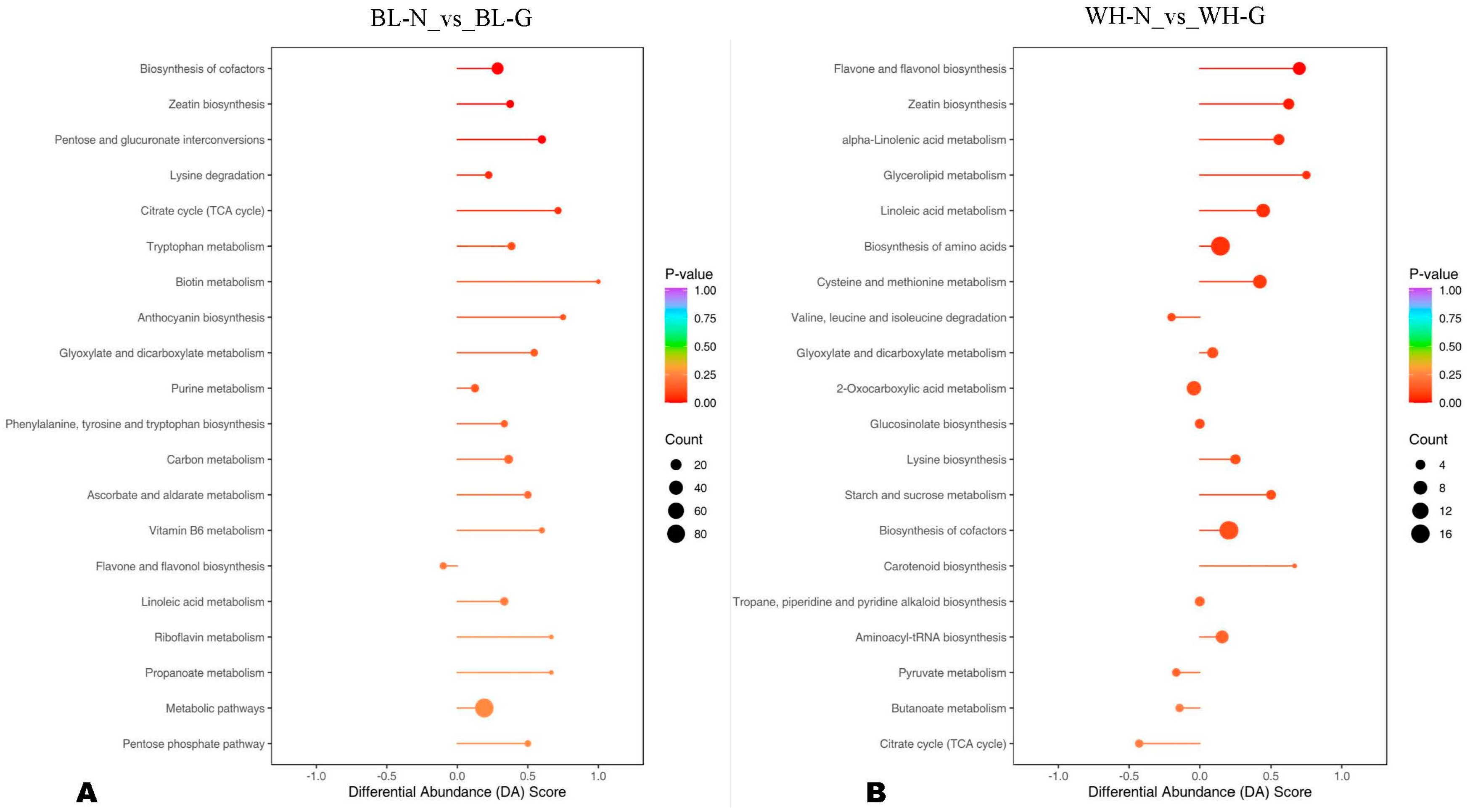 Agronomy 14 01383 g005