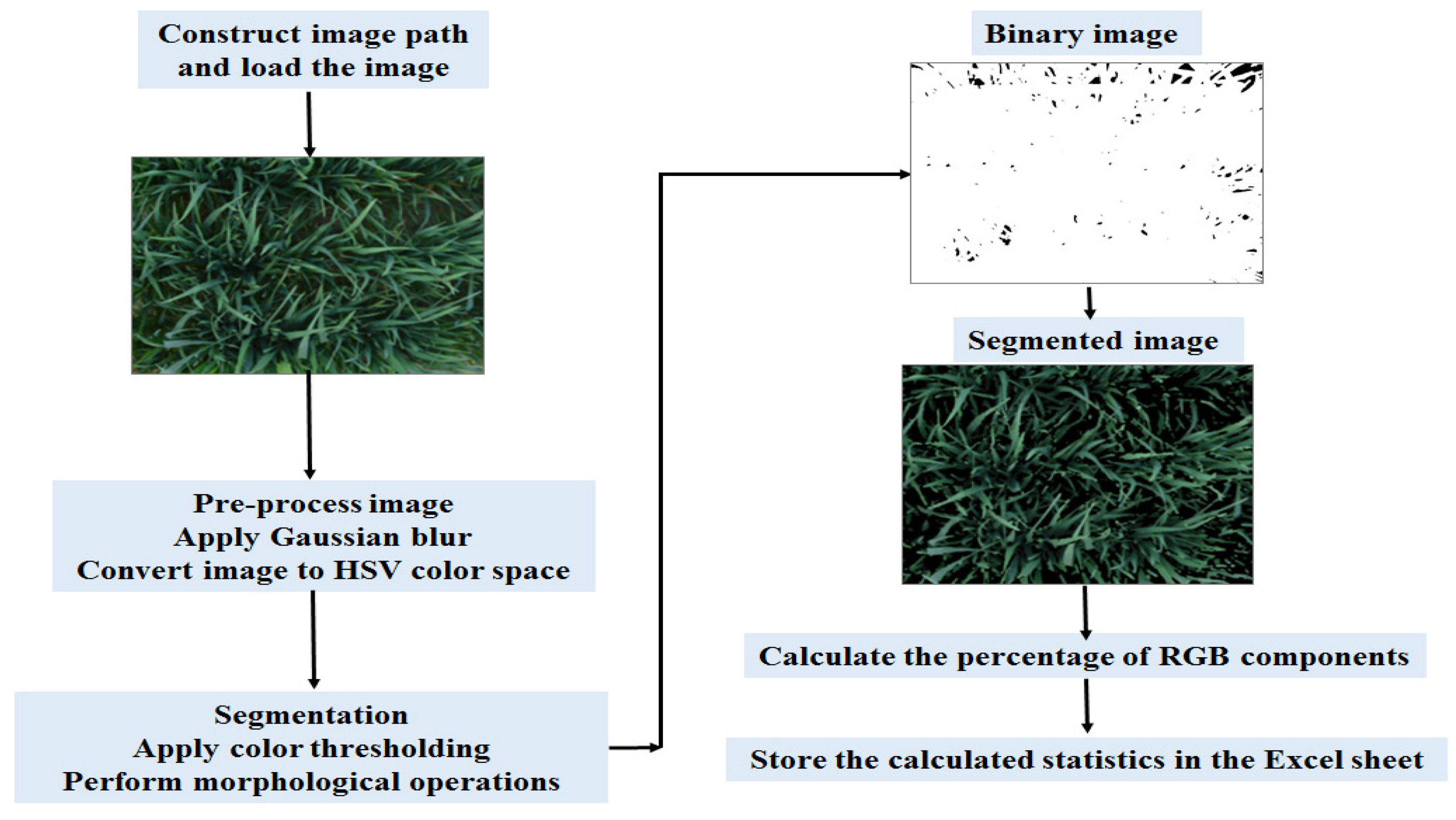 Agronomy 14 01390 g003 Agronomy 14 01390 g003