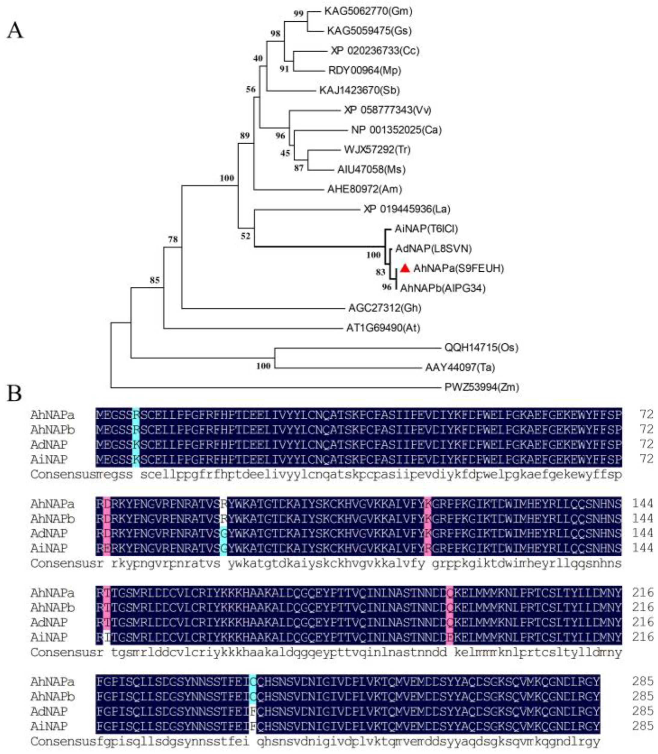 Agronomy 14 01391 g001