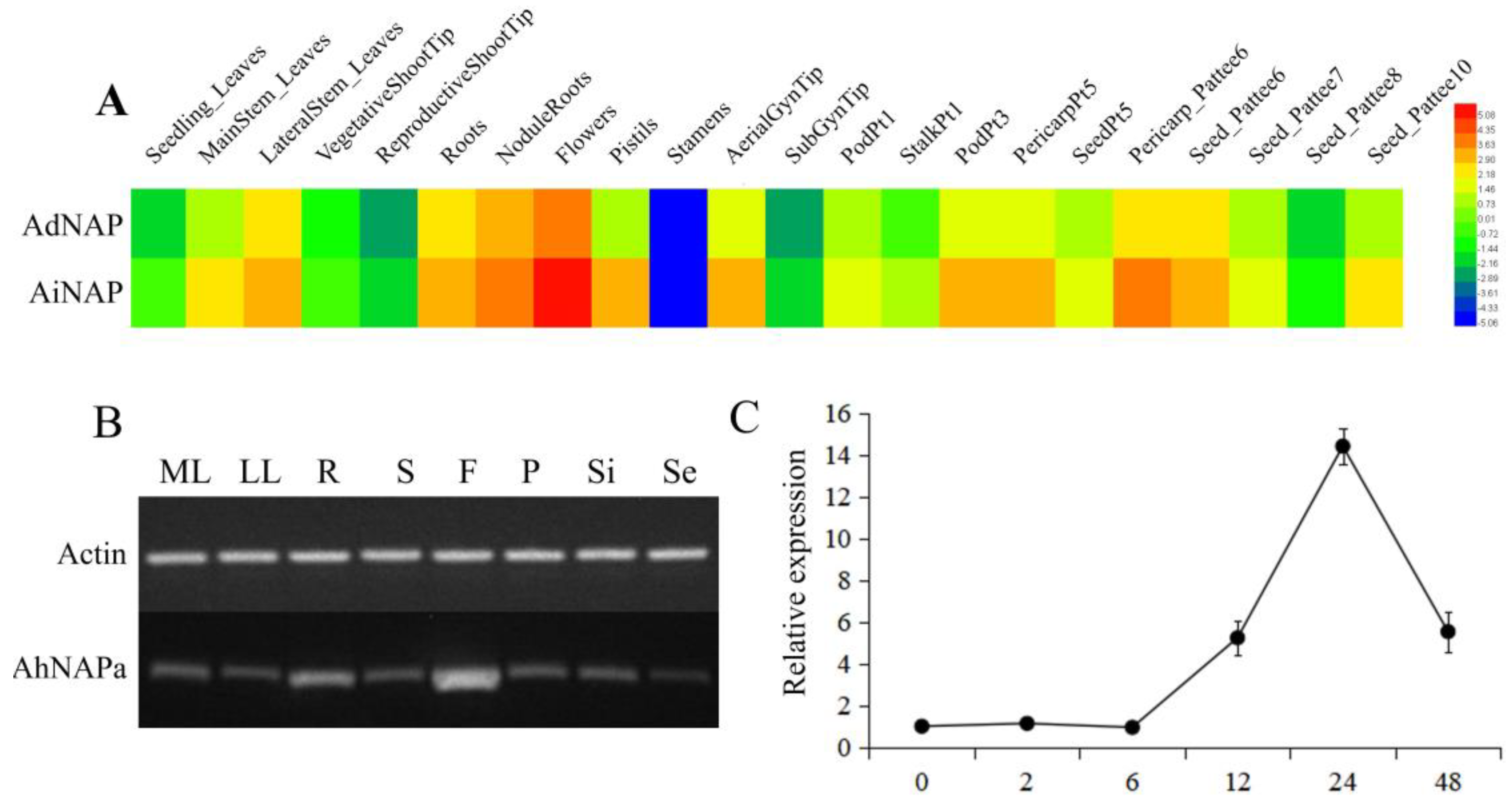 Agronomy 14 01391 g002