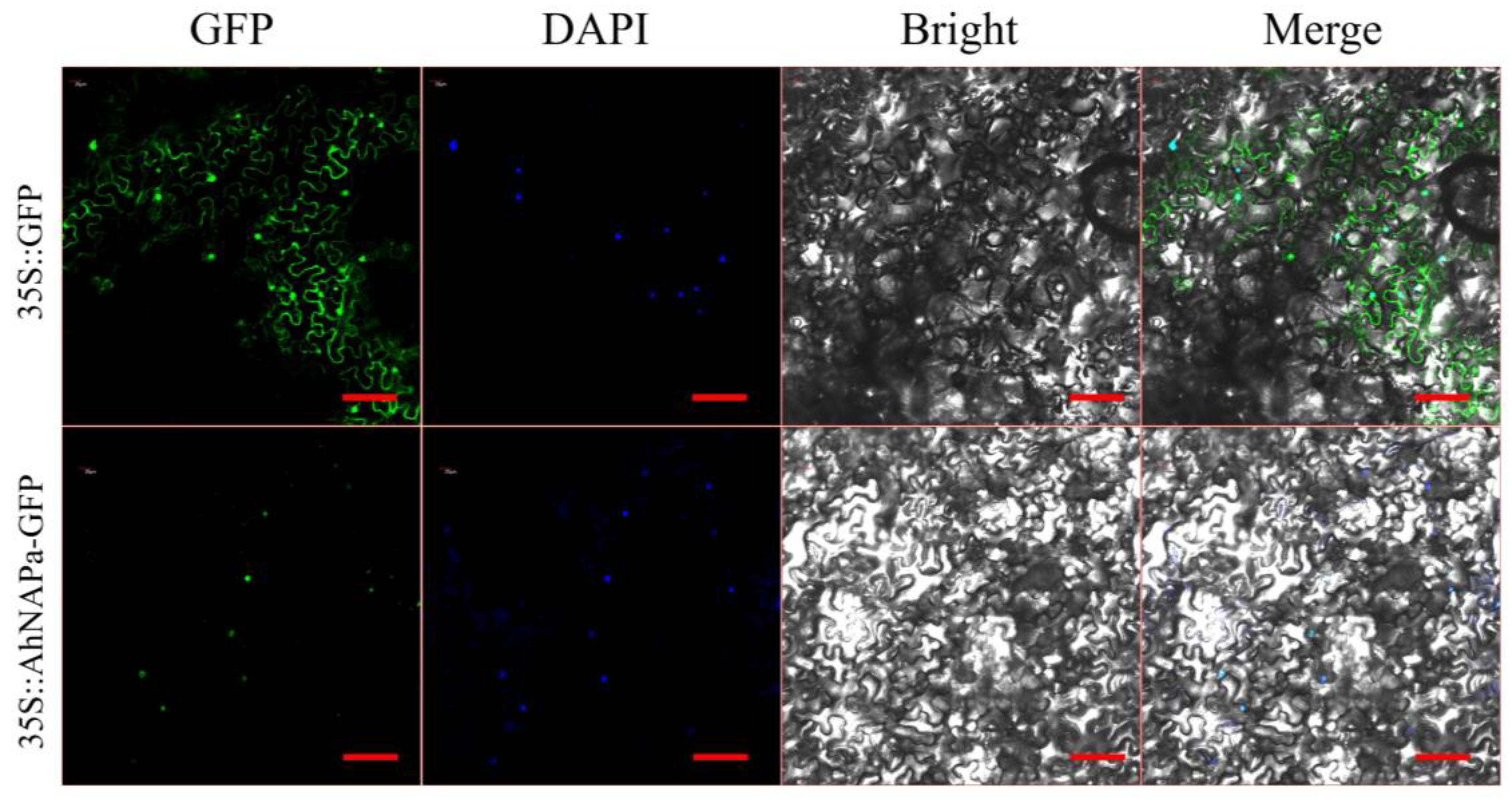 Agronomy 14 01391 g003