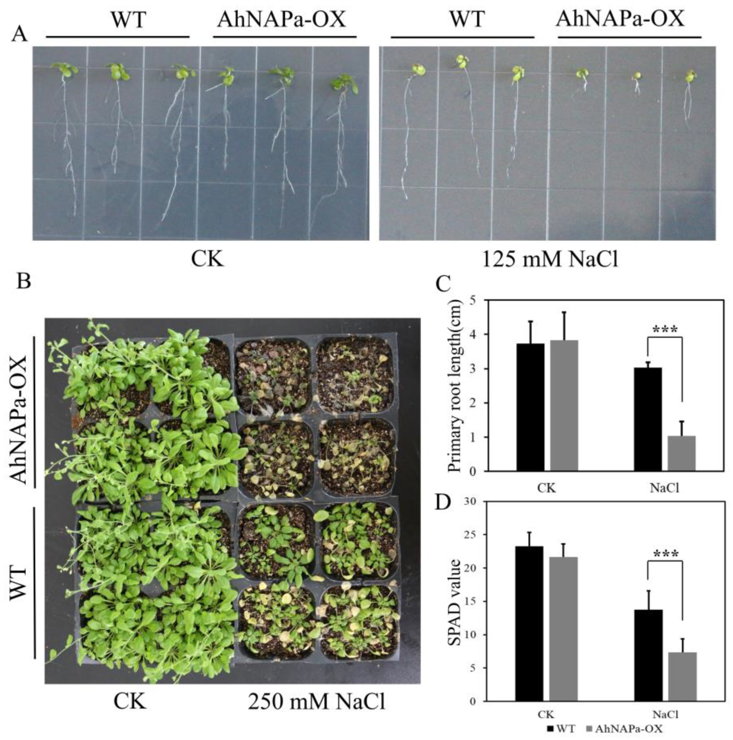 Agronomy 14 01391 g004