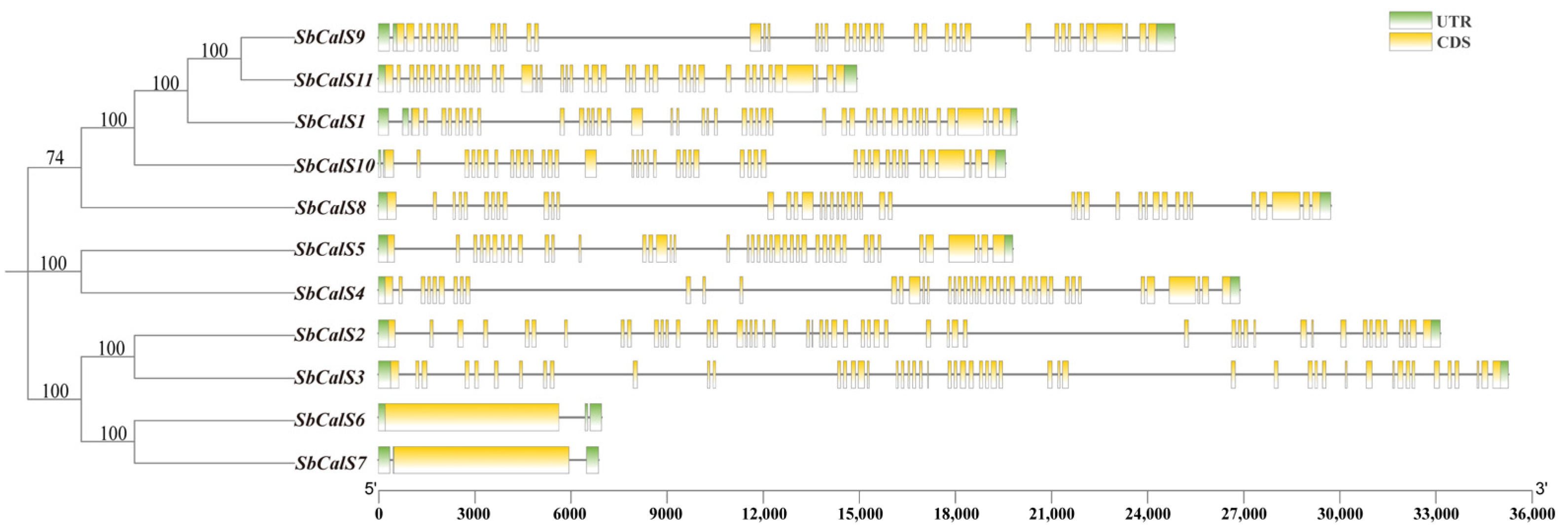 Agronomy 14 01393 g004