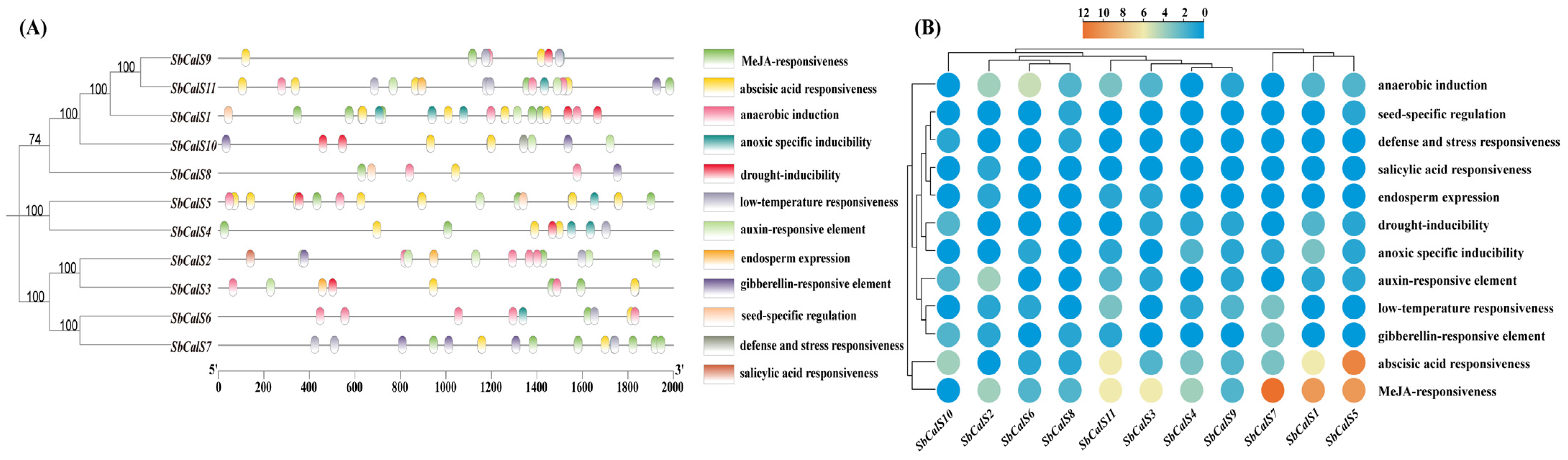 Agronomy 14 01393 g005