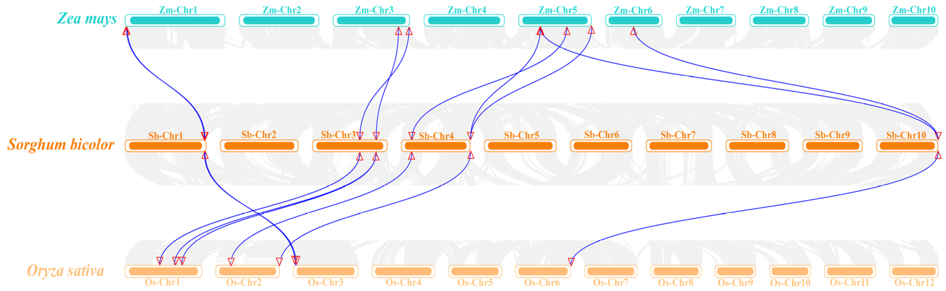 Agronomy 14 01393 g007